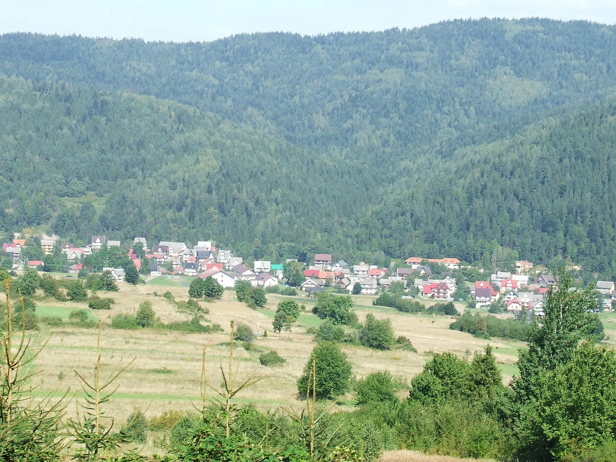 Photo showing: Widok na centrum Skawicy