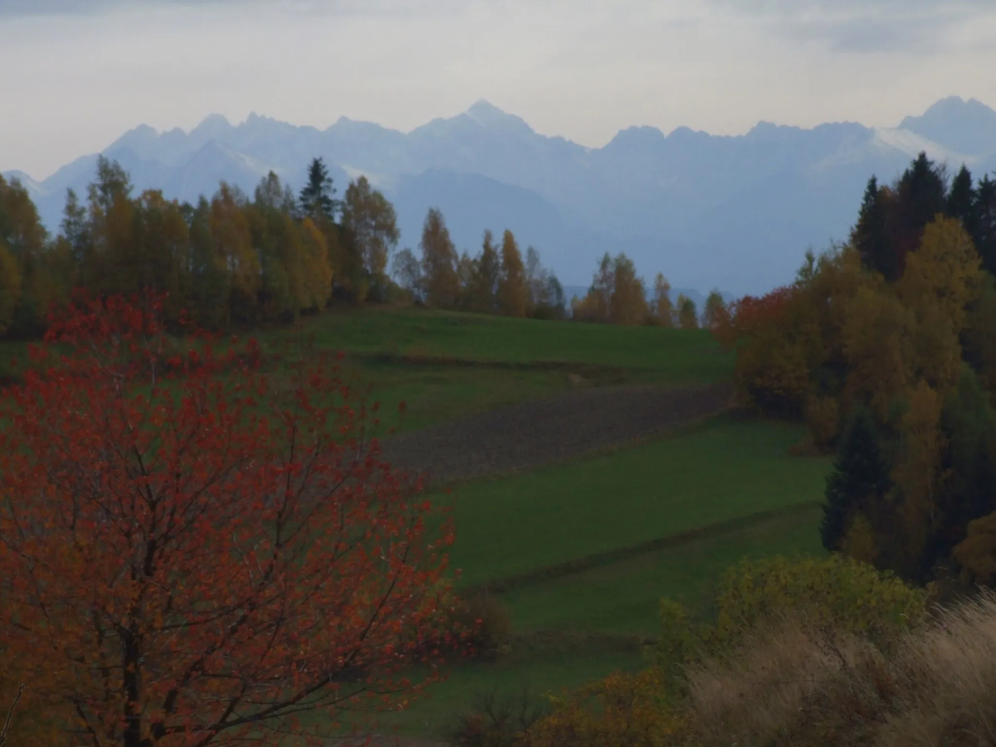 Photo showing: Widok z osiedla Zarębek Wyżni w Łopusznej na Tatry