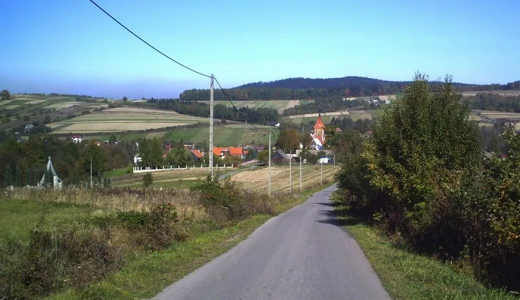 Photo showing: Widok na kościół w Zakrzowie z drogi zbiegającej z Chełmu. Autor: Suwaj Władysław (2006).