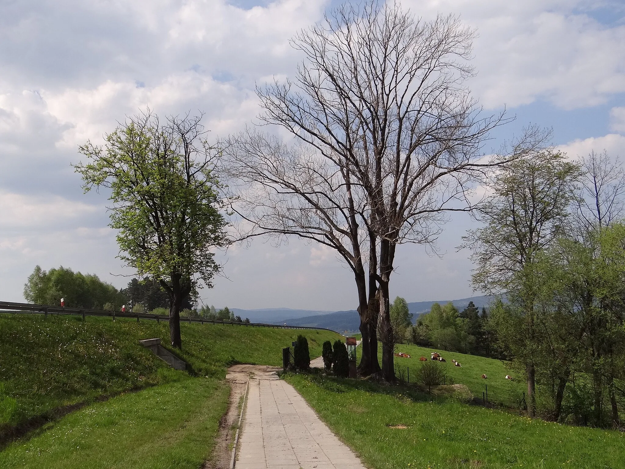 Photo showing: Źródło Pociesznej Wody