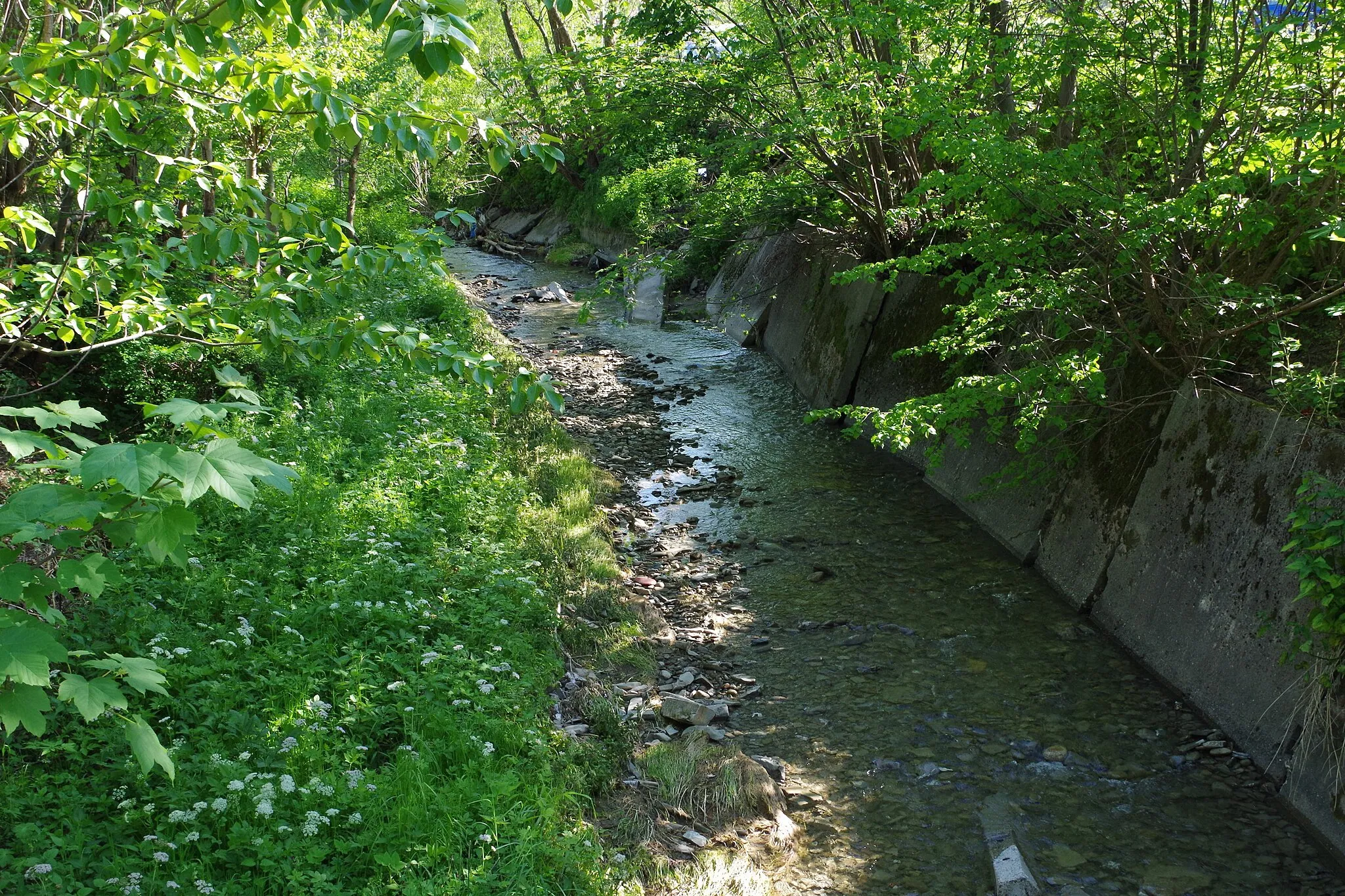 Photo showing: Rdzawka w Rdzawce