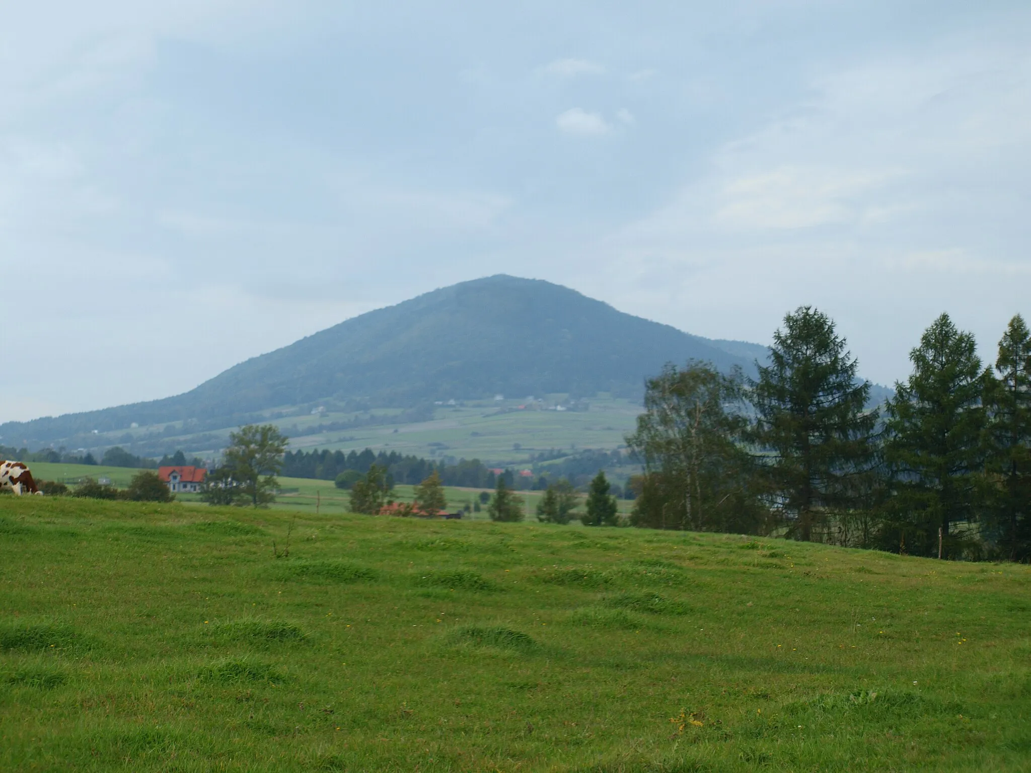 Photo showing: Chełm Grybowski Hill - view from Florynka