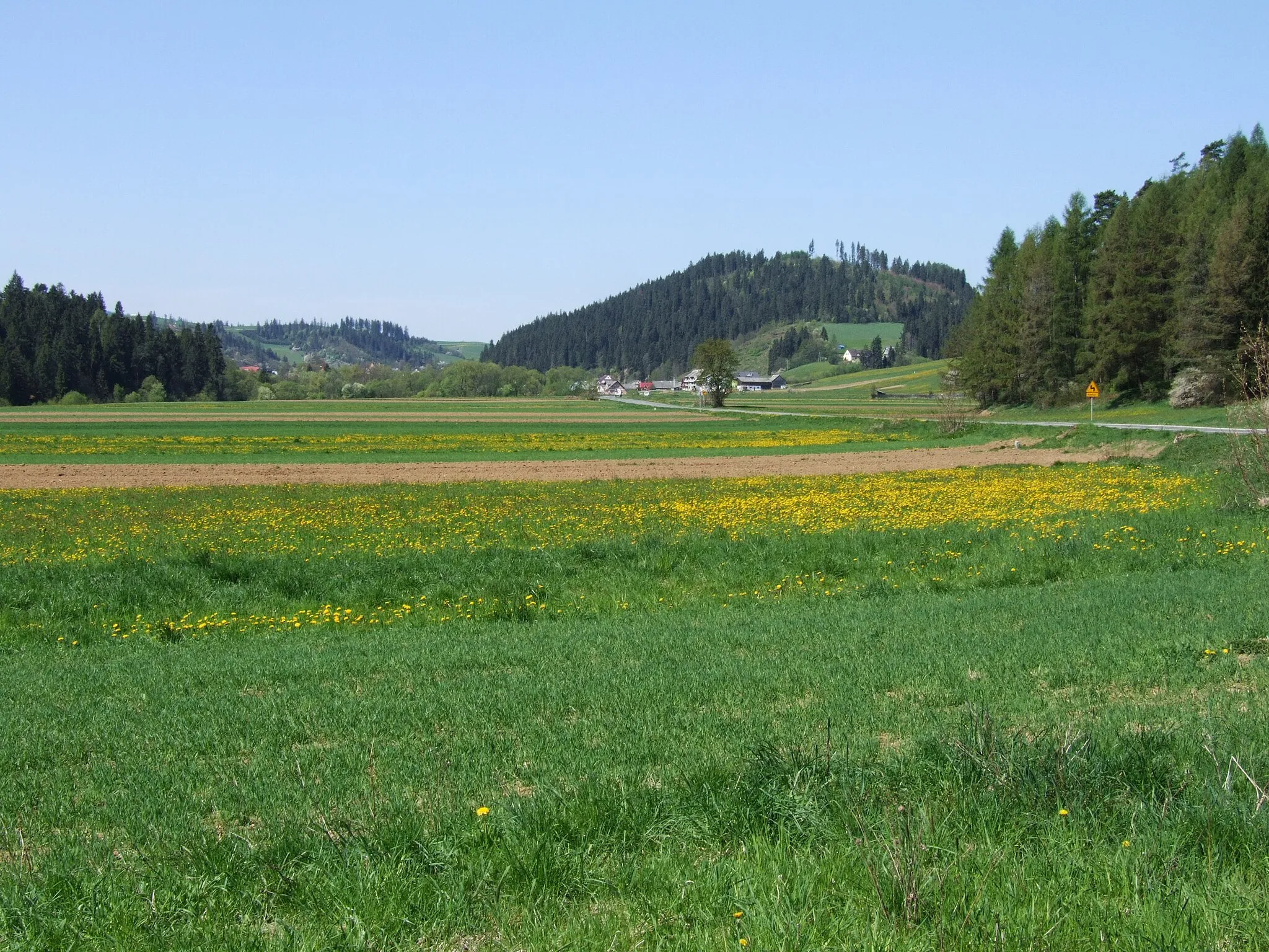 Photo showing: Sołtysia Góra w Łapszach Niżnych