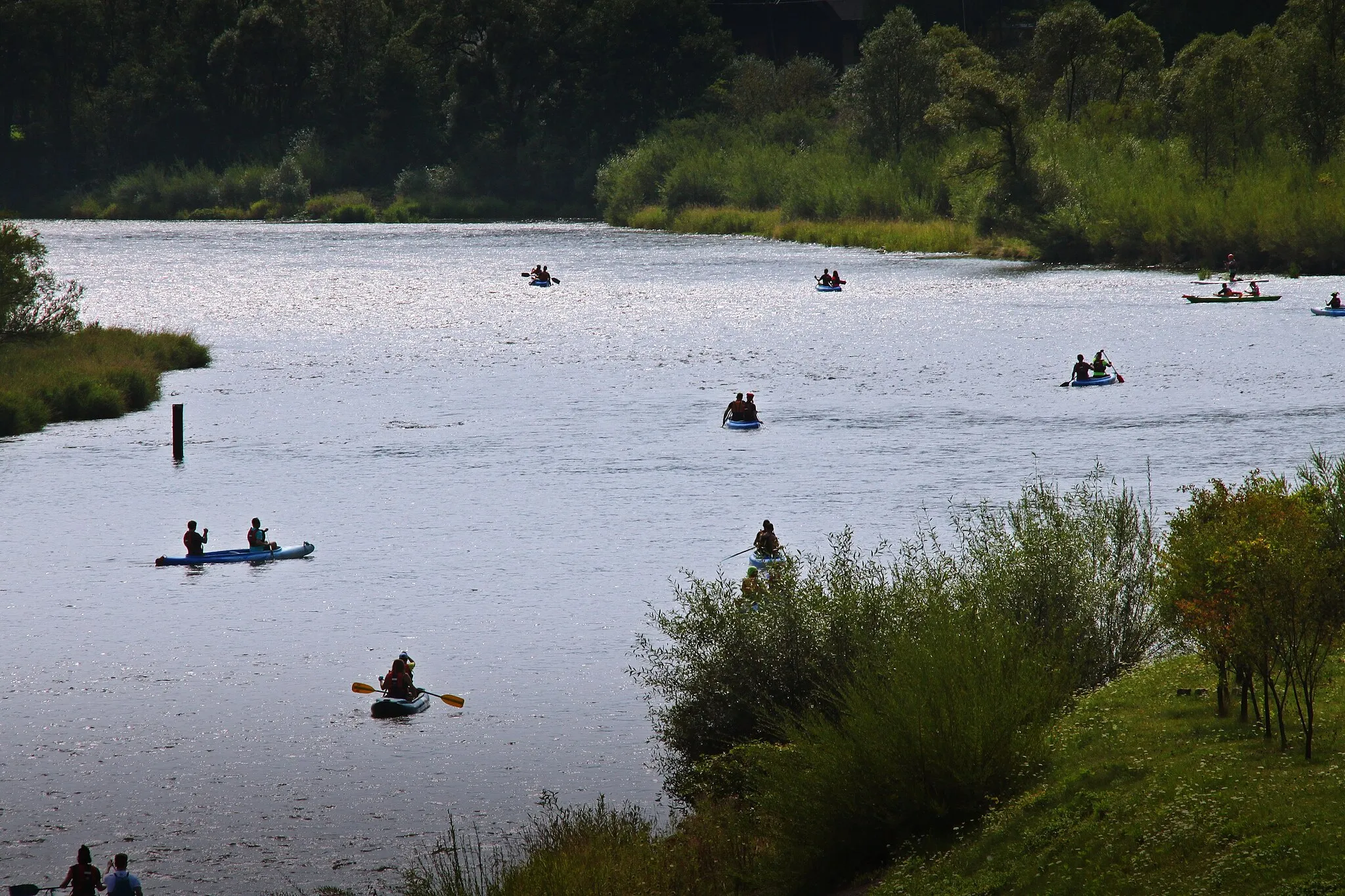 Photo showing: This is a photography of protected area with CRFOP ID