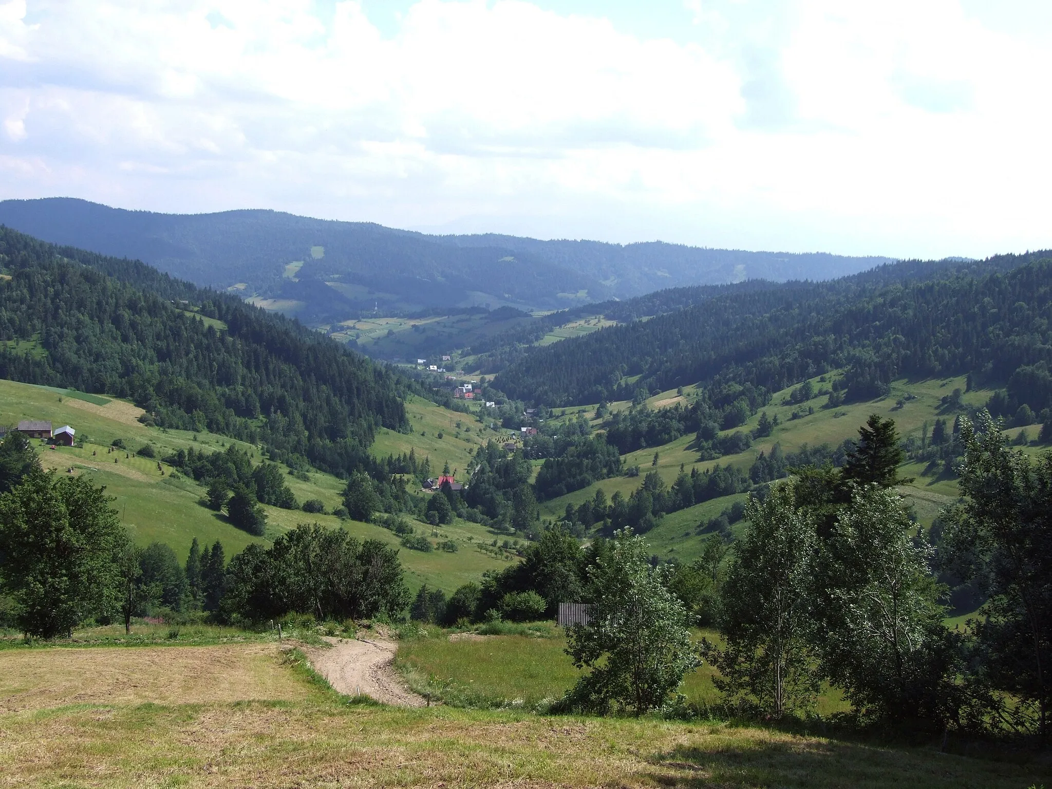 Photo showing: Dolina Potoku Jamne w Ochotnicy Górnej
