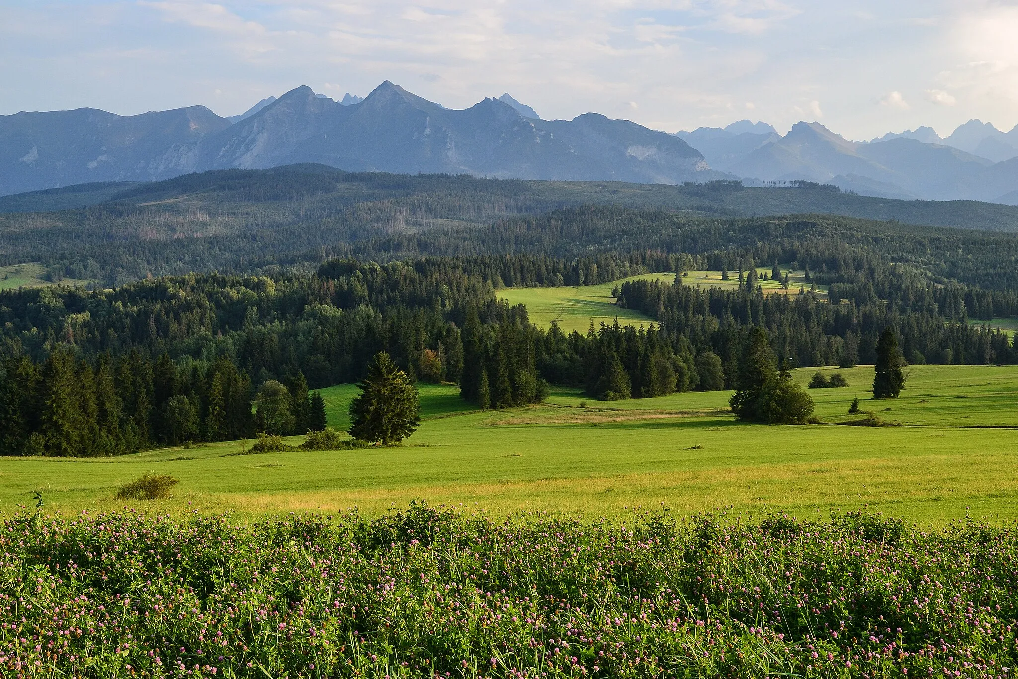 Photo showing: Tatry mountains - view from Łapszanka, Poland