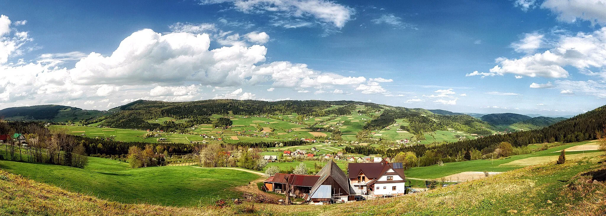 Photo showing: Zdjęcie wykonane wiosną 2013 roku.