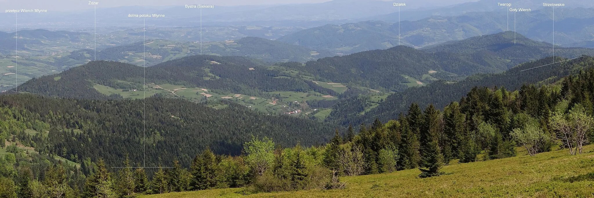 Photo showing: Widok z Gorca Młynieńskiego