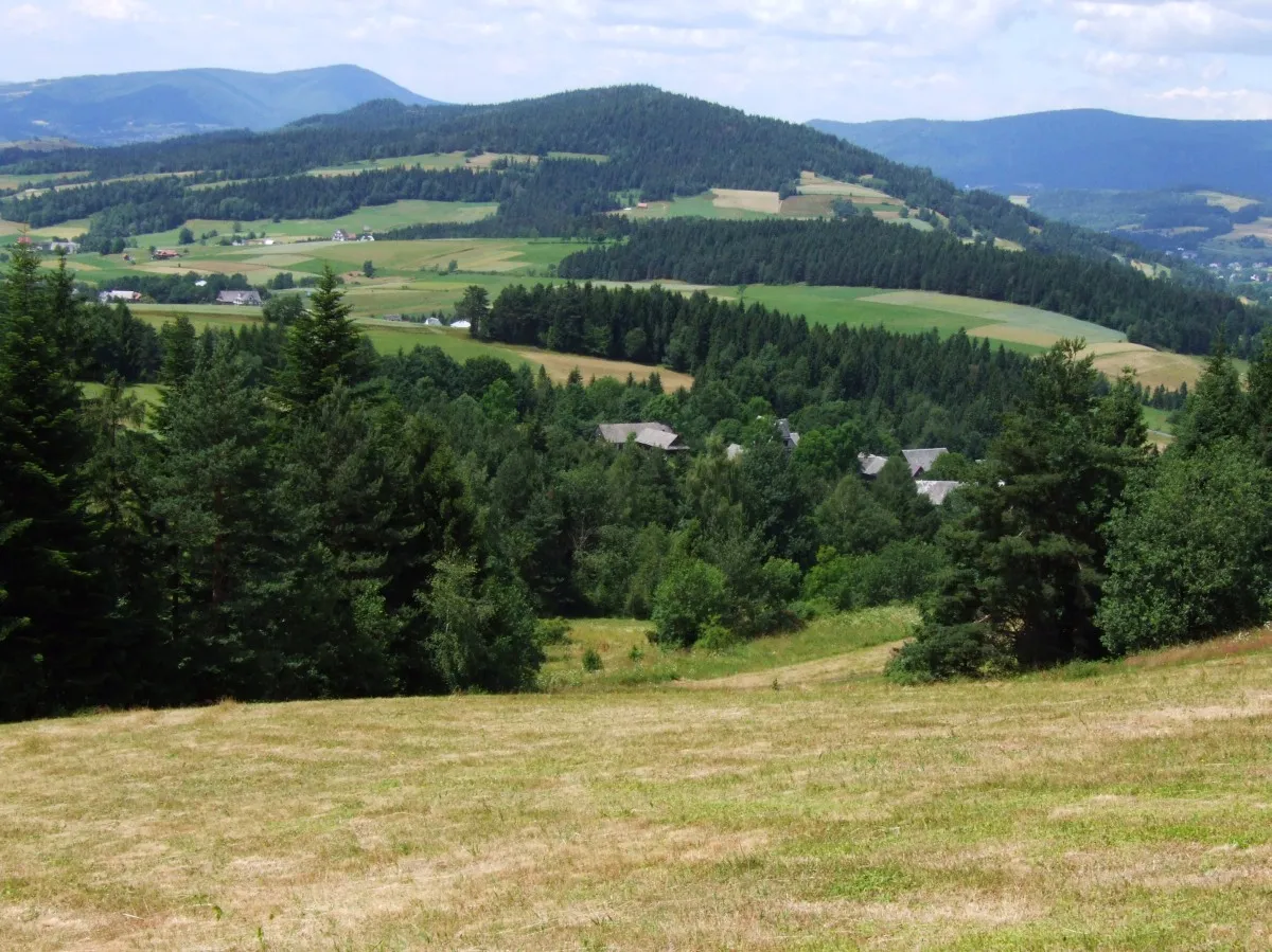 Photo showing: Ogorzała. Widok z Jasienia