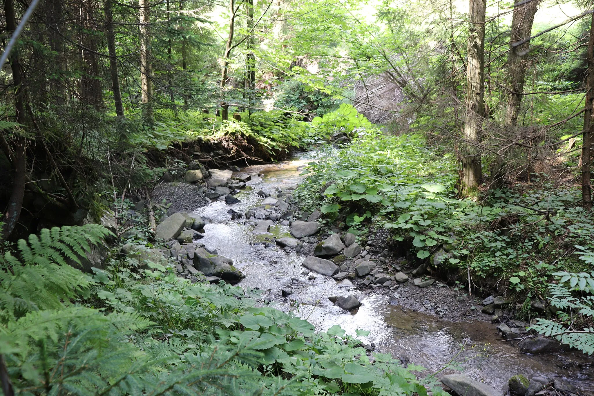 Photo showing: Beskid Wyspowy - Tromiska stream