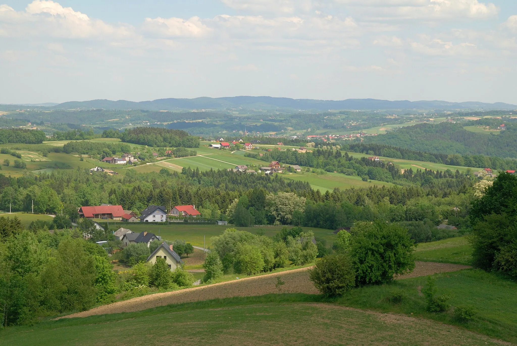 Photo showing: wieś Bruśnik