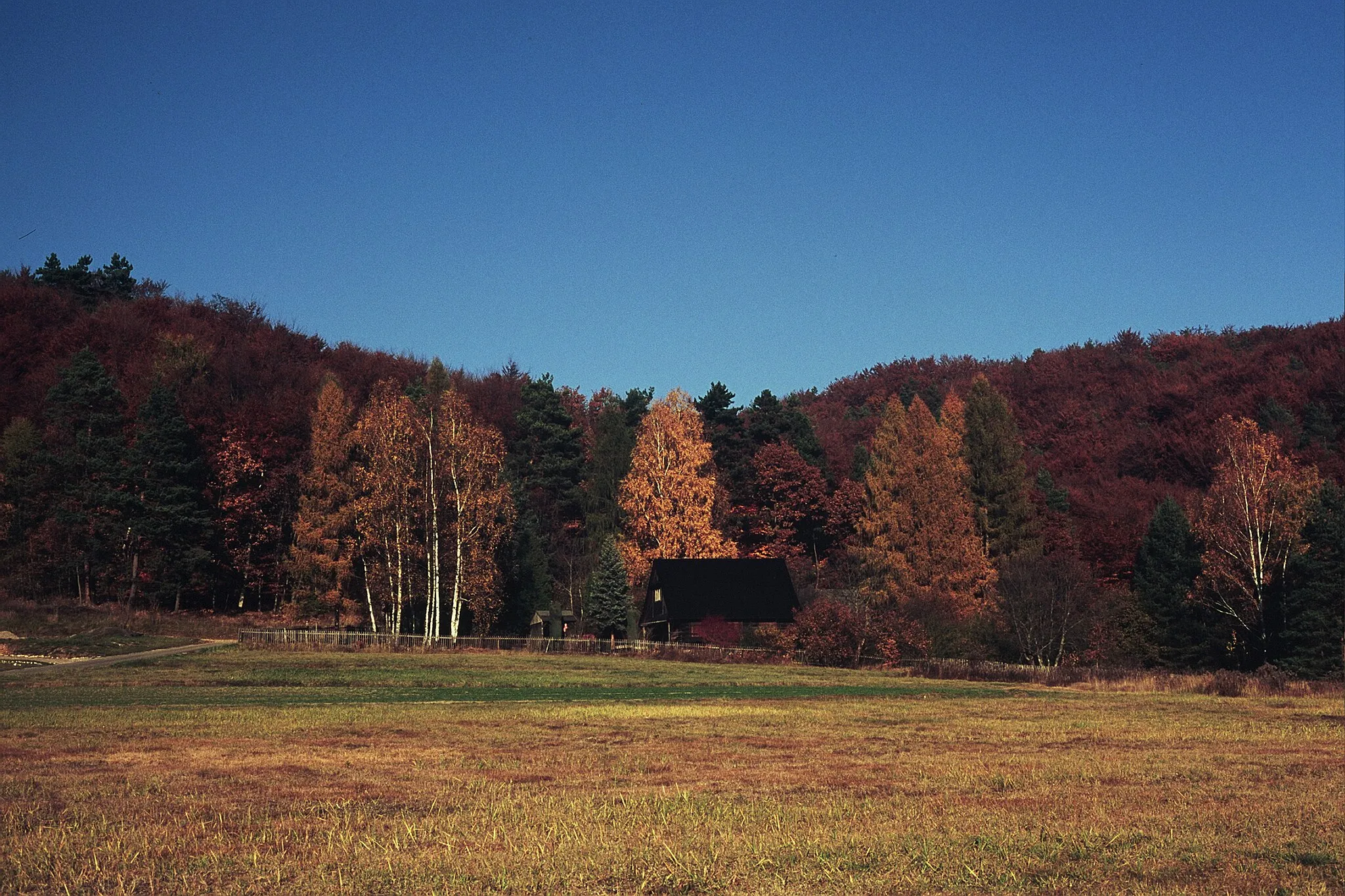 Photo showing: Autumn scene in Poland