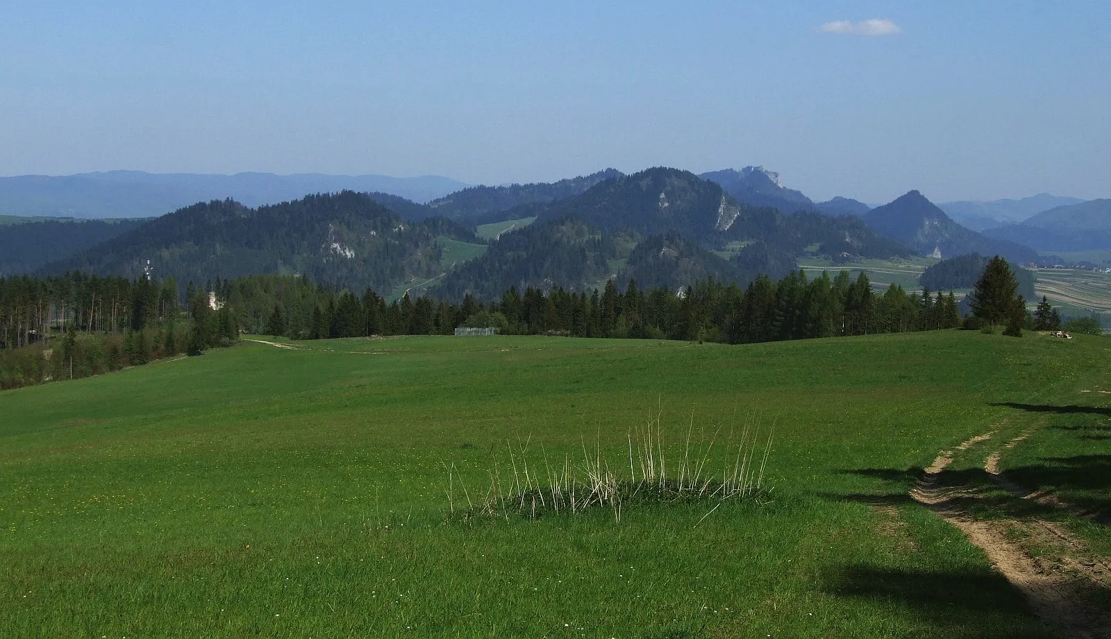 Photo showing: Widok z polany Cisówka w Pieninach Spiskich na Pieniny Właściwe