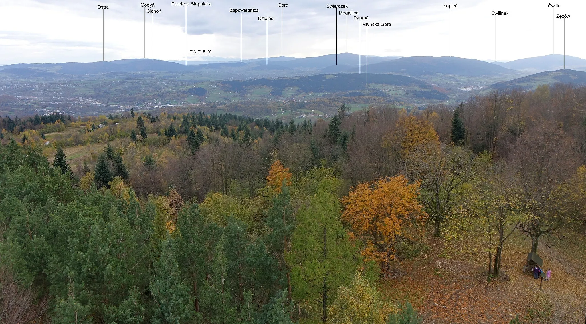 Photo showing: Widok z wieży widokowej na Kamionnej