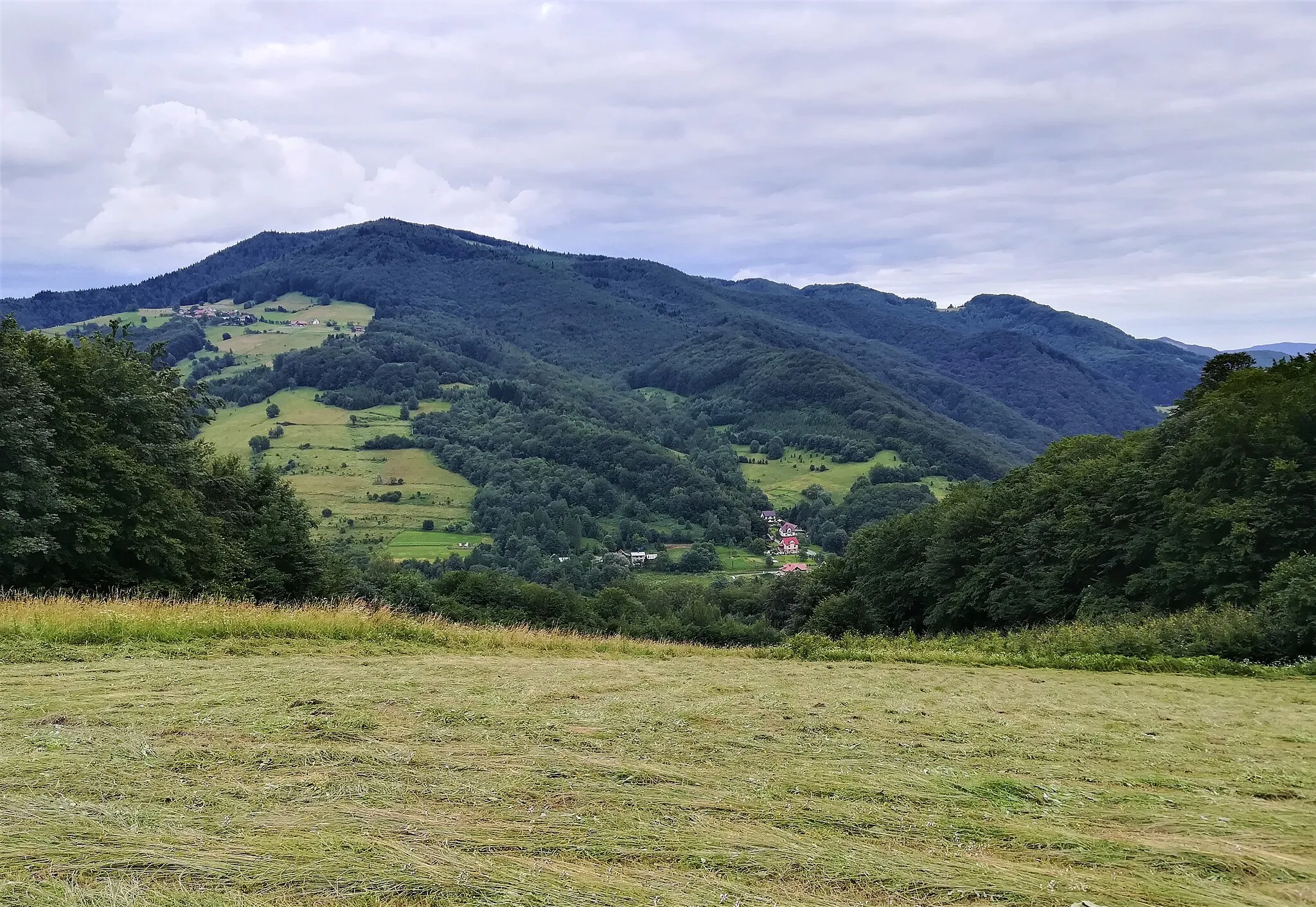 Photo showing: Makowica (Beskid Sądecki) z Dzielnicy (z platformy widokowej "Ślimak").