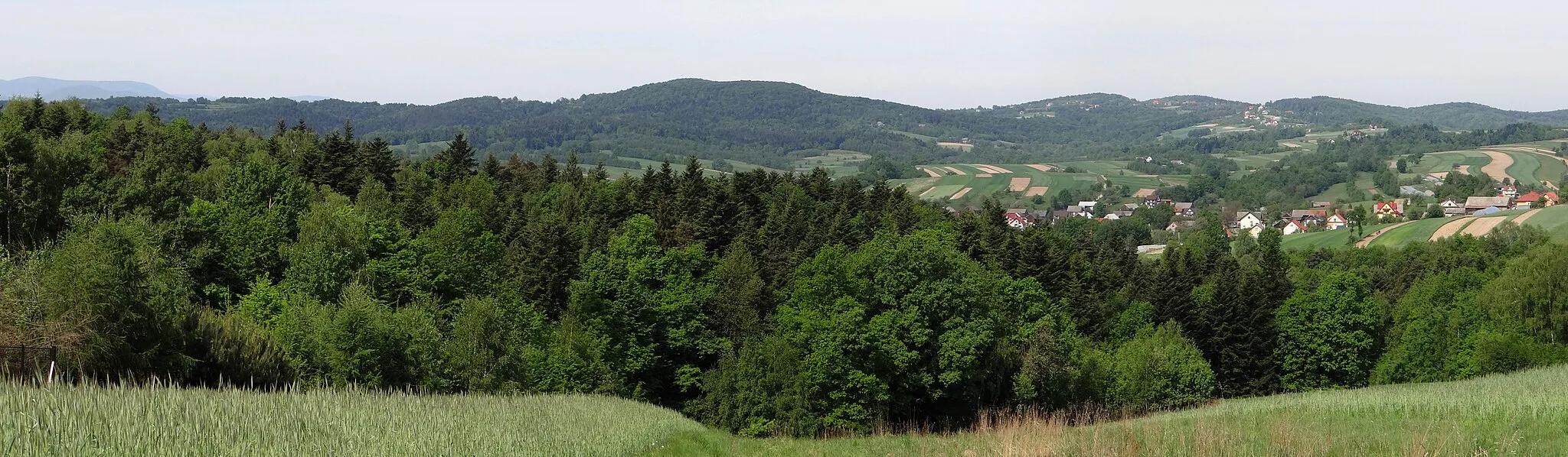 Photo showing: Ciąg wzgórz nad Stradomką (Wichras, Zonia i in.). Widok z szosy przez Leksandrową