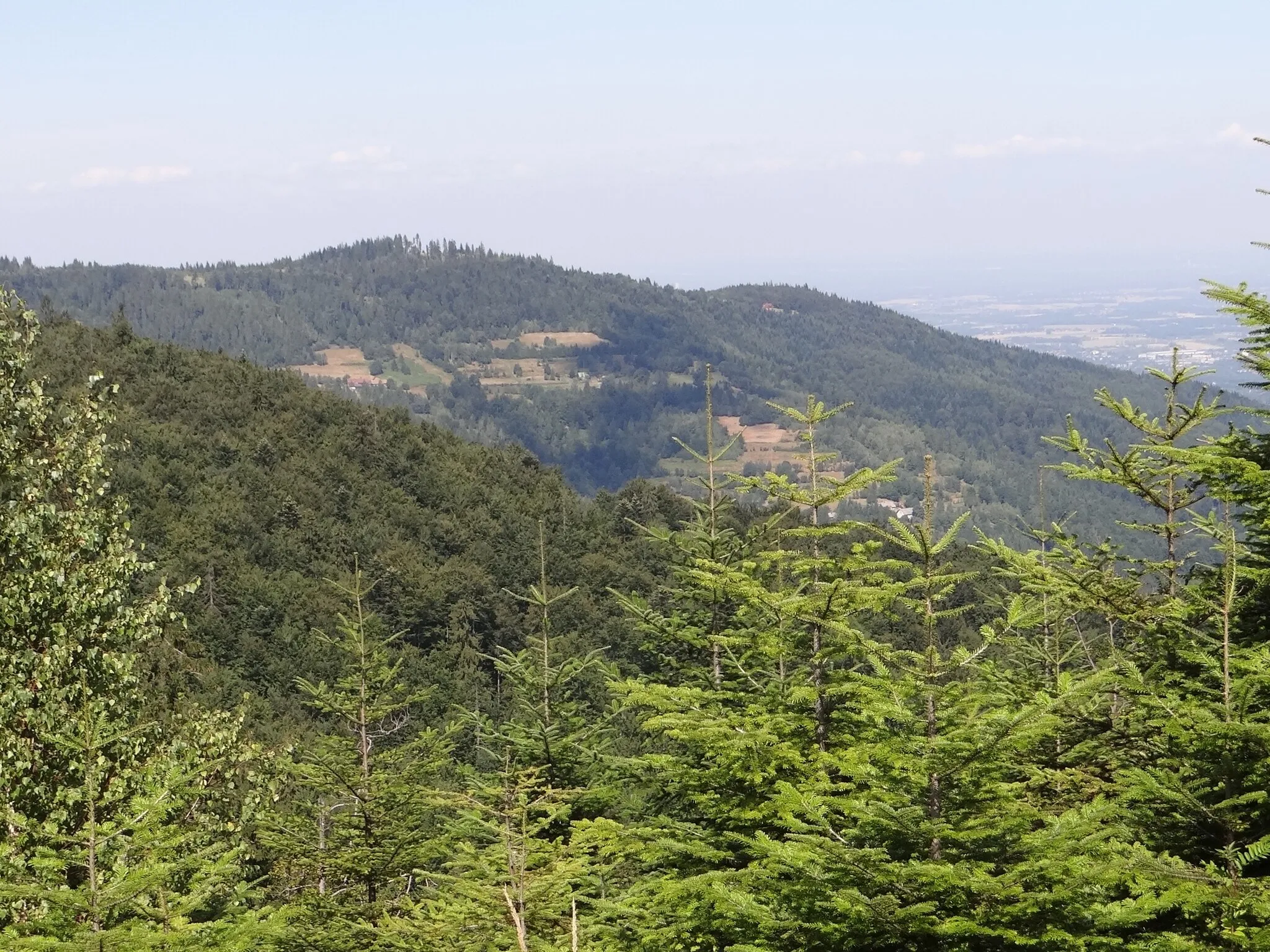 Photo showing: Potrójna i Czarny Groń. Widok ze Smrekowicy