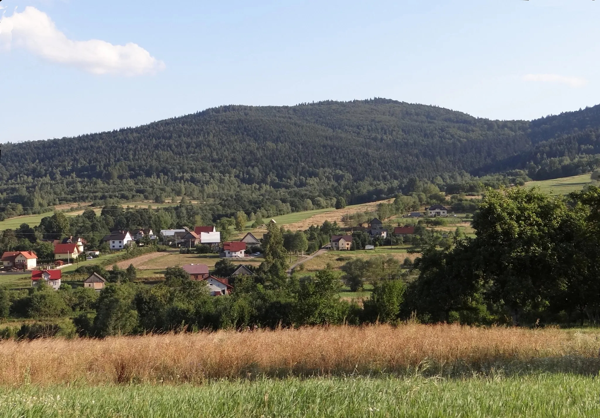 Photo showing: Gołuszkowa Góra, widok ze Śleszowic