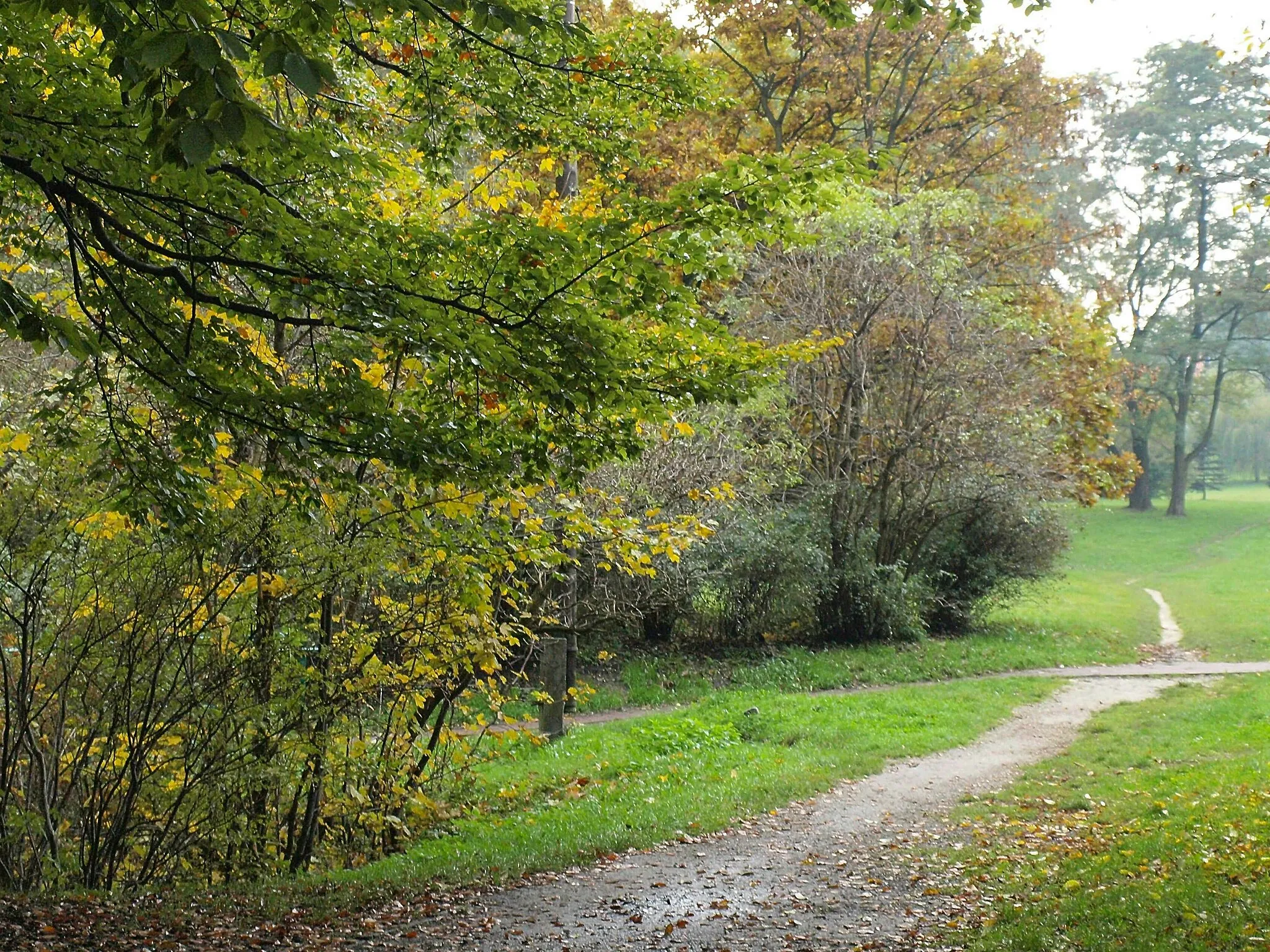 Photo showing: Cracow, Jerzmanowski's Park