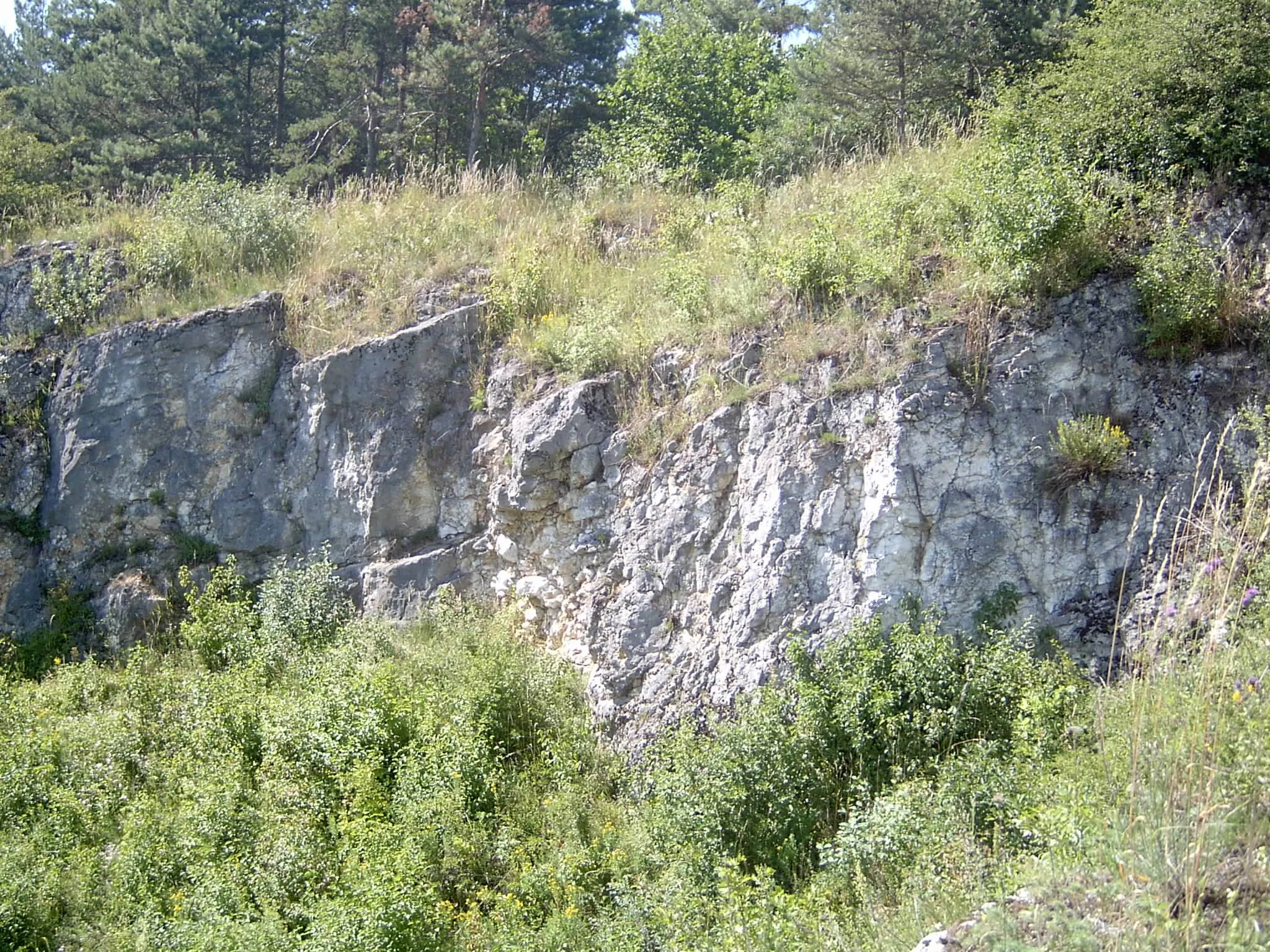 Photo showing: Odsłonięcia górnojurajskich wapieni