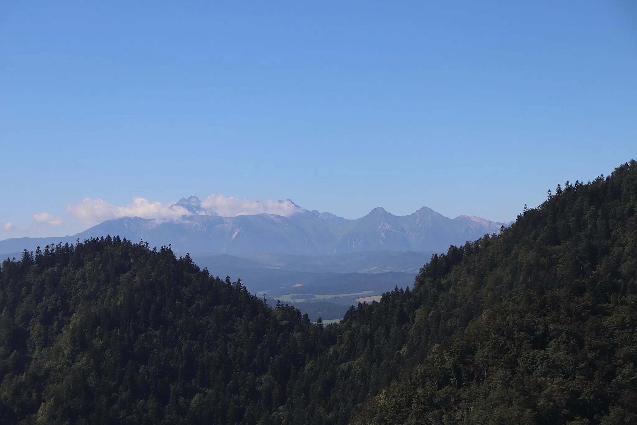 Photo showing: Pieniny National Park - view from Czertezik