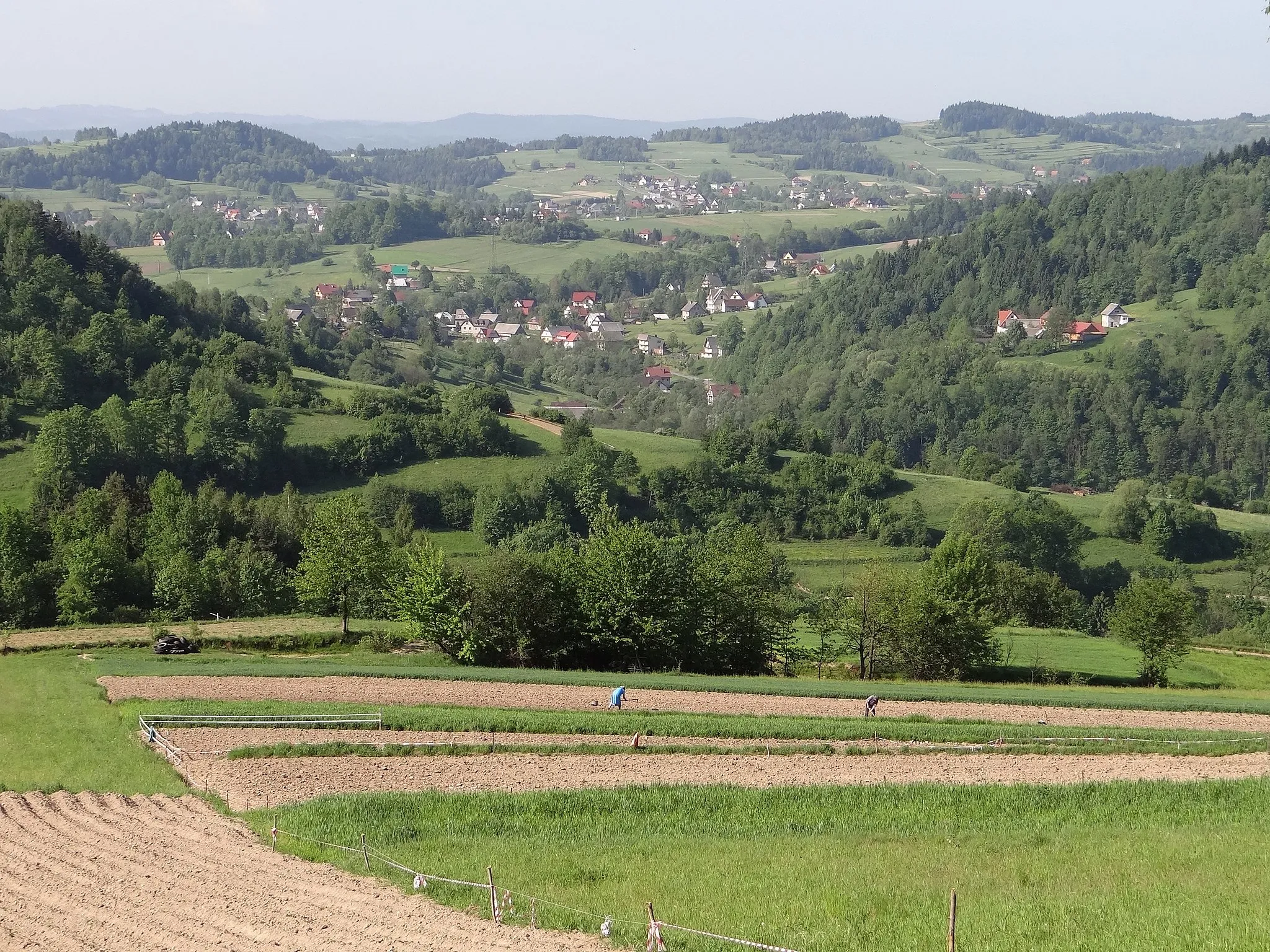 Photo showing: Widok z Urbaniej Góry na Łętownię