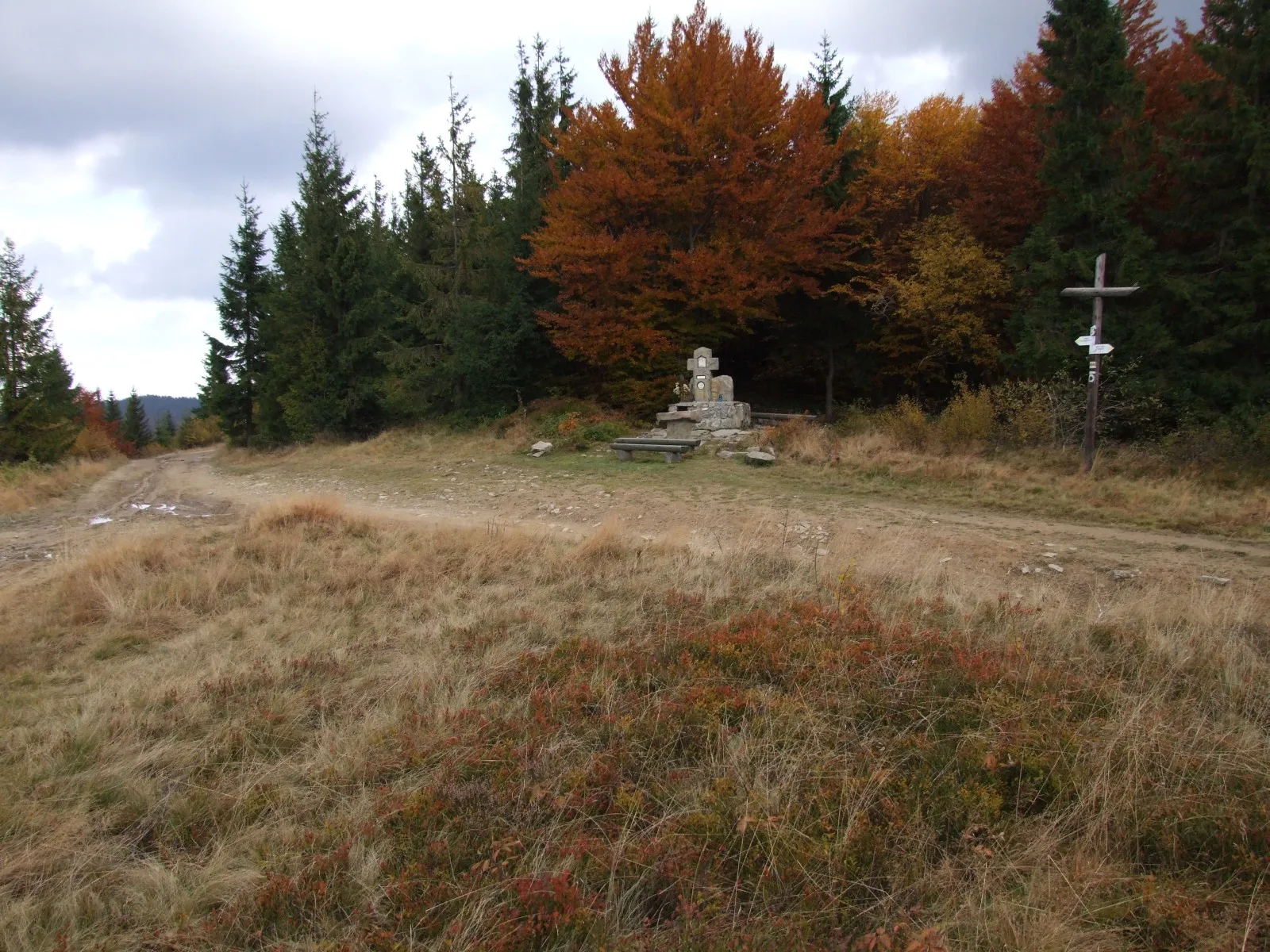 Photo showing: Rozdroże szlaków turyst. na Bukowinie Miejskiej