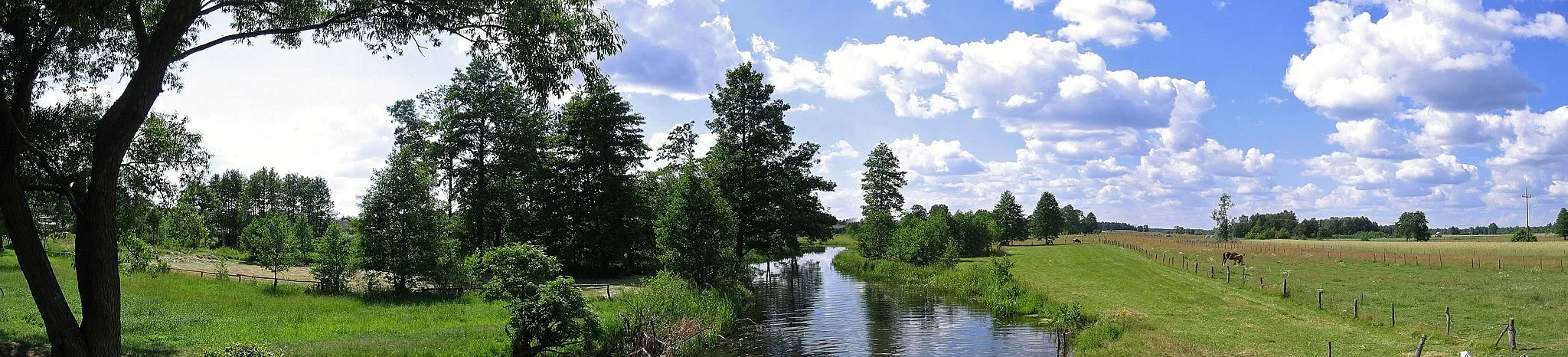 Photo showing: Łęg Starościński-Walery near Ostrołęka in Poland, panorama.