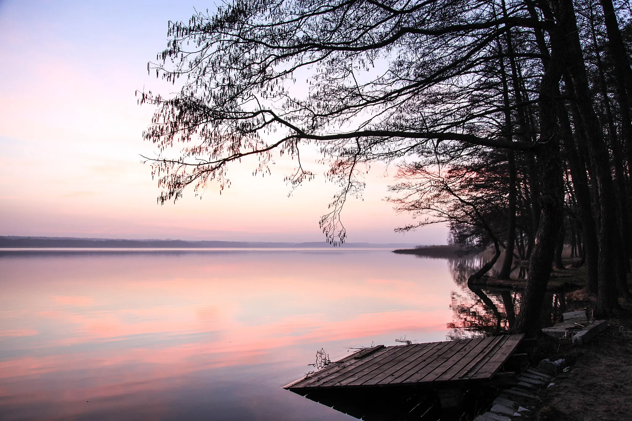 Photo showing: Zespół przyrodniczo-krajobrazowy Jezioro Zdworskie.