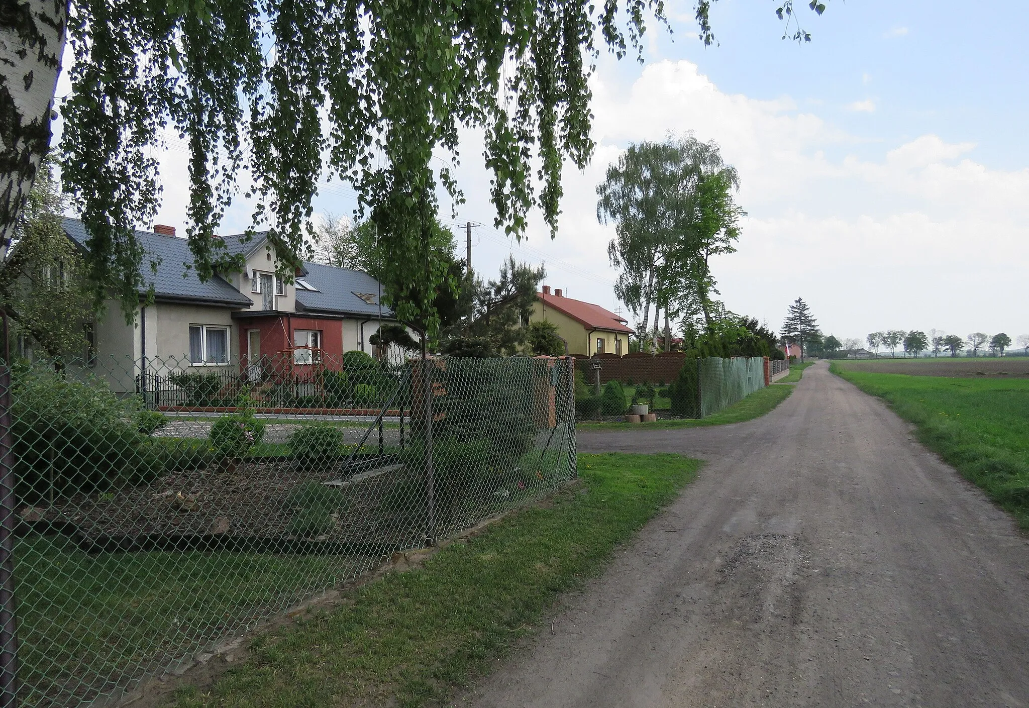 Photo showing: Świerczynek, gm.Drobin