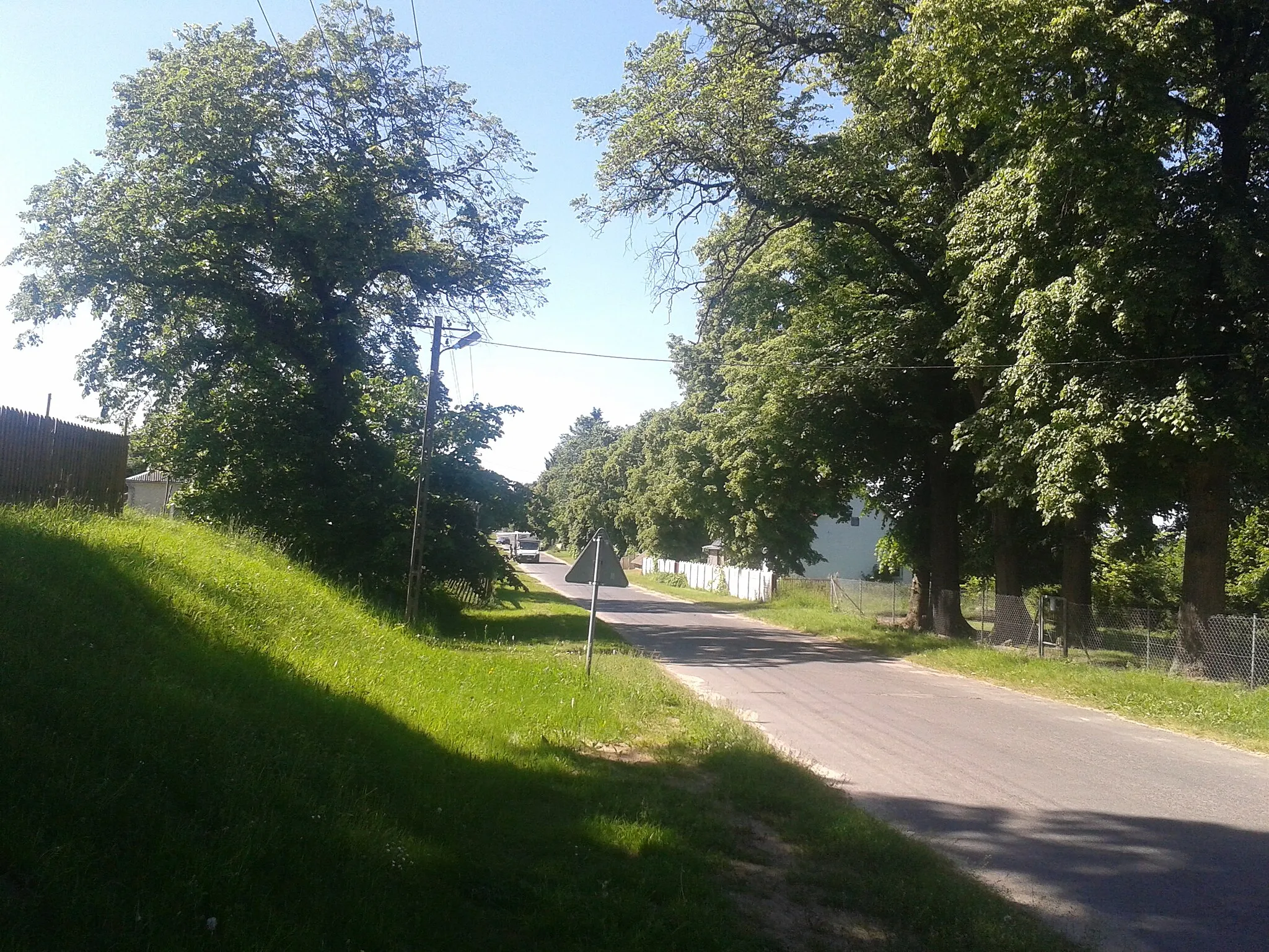 Photo showing: Droga przez Bubel Stary w kierunku Gnojna