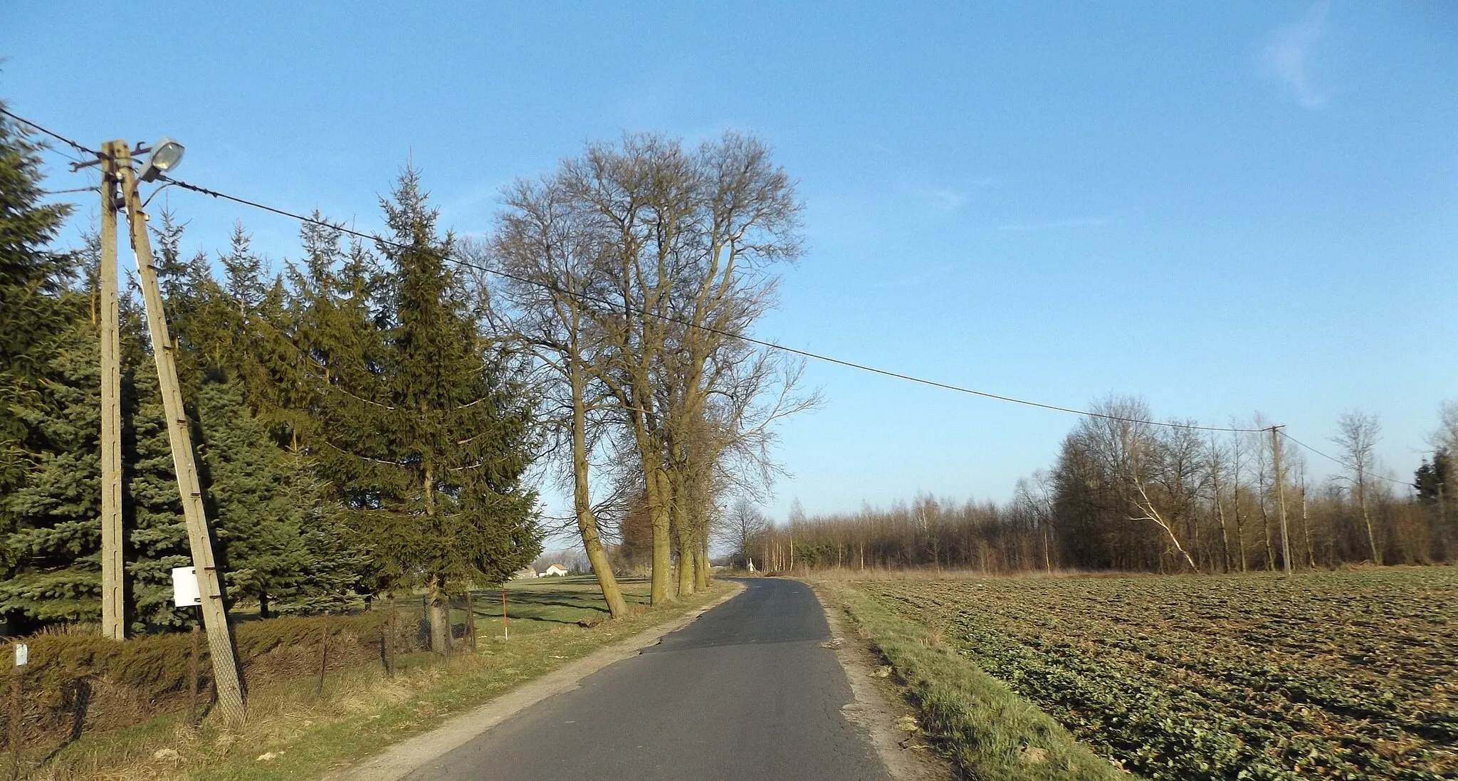 Photo showing: Droga od centrum Nowych Łubek do Nowej Słupcy. W tle kapliczka po S stronie drogi w Nowych Łubkach w 2017 r.