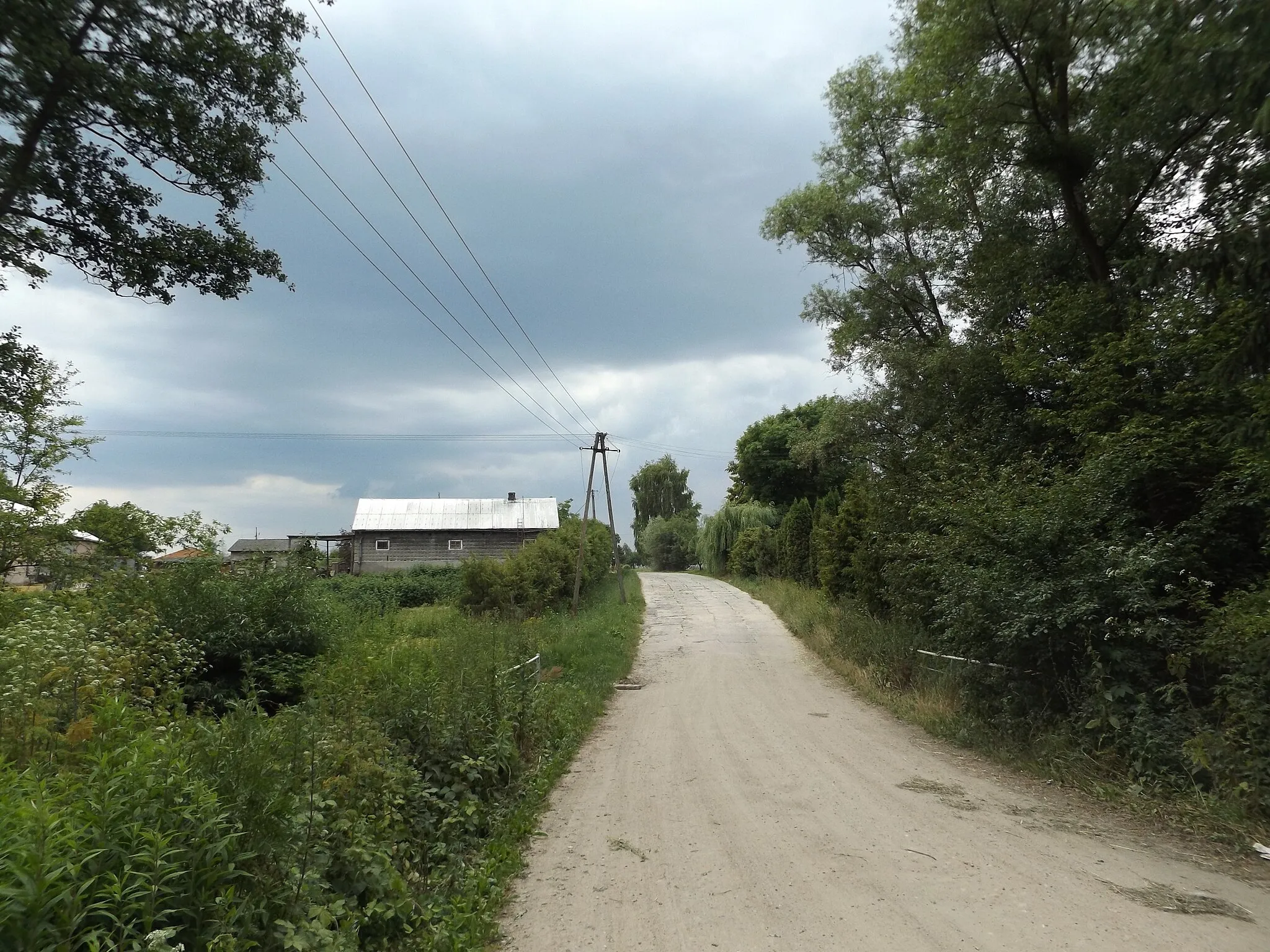 Photo showing: Mostek przez Strugę (dopływ Wisły k. Wyszogrodu) przy granicy między Pozarzynem a Bolinem w 2015 r.