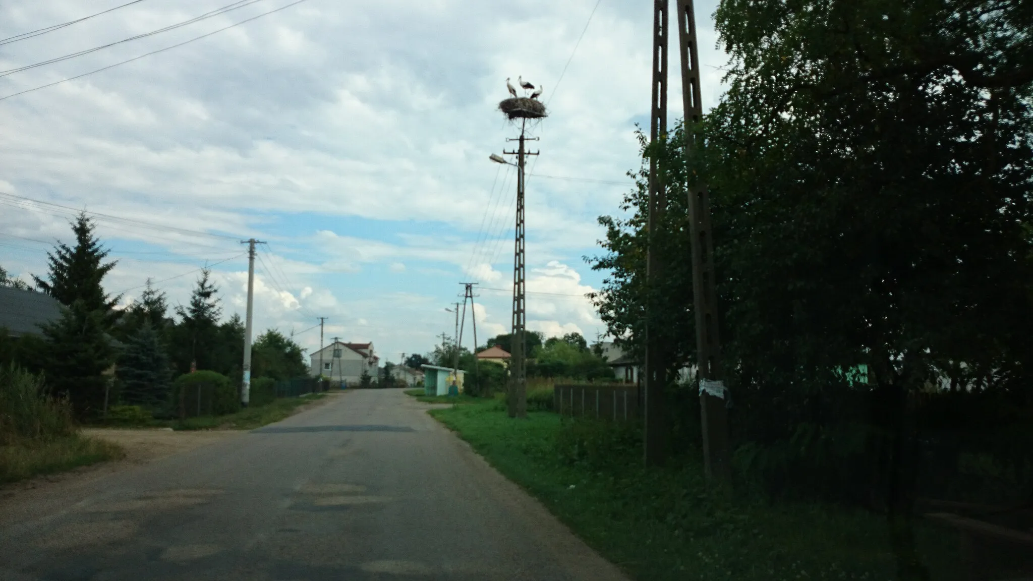 Photo showing: stork's nest - Miączyn Duży