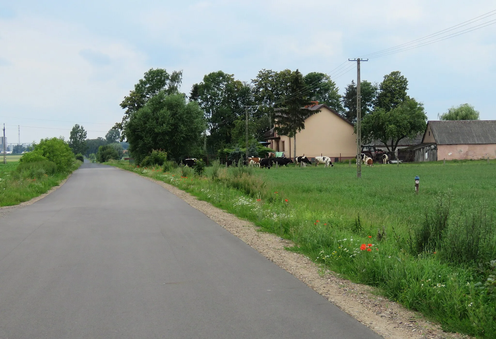 Photo showing: Tupadły, gmina Drobin