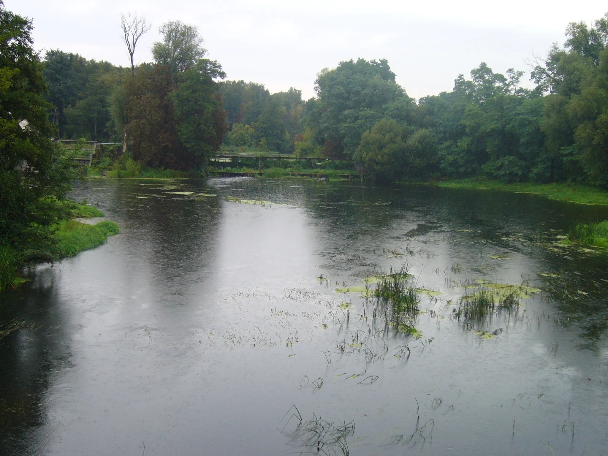 Photo showing: rzeka Wkra