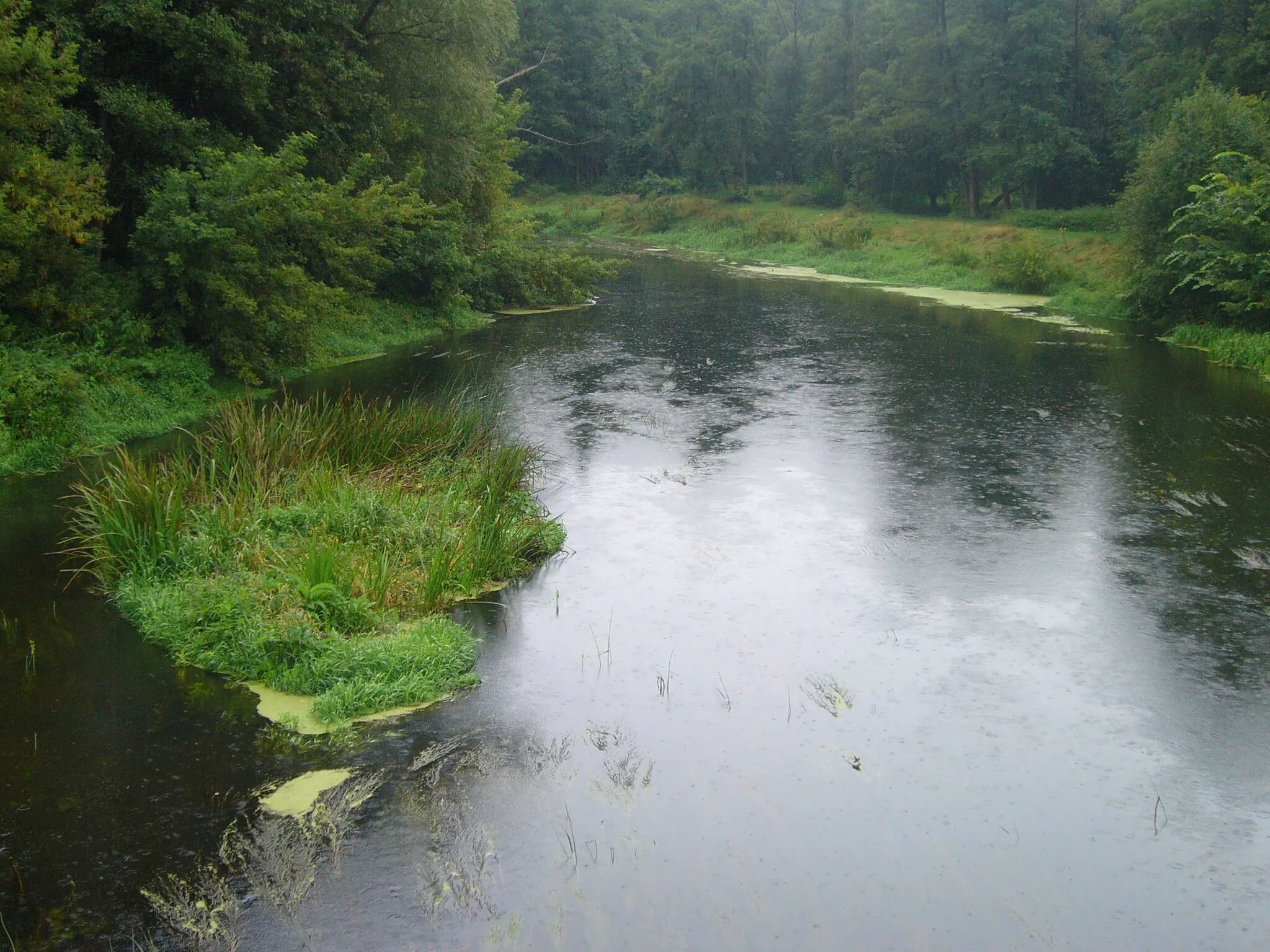 Photo showing: Wkra w Bolęcinie