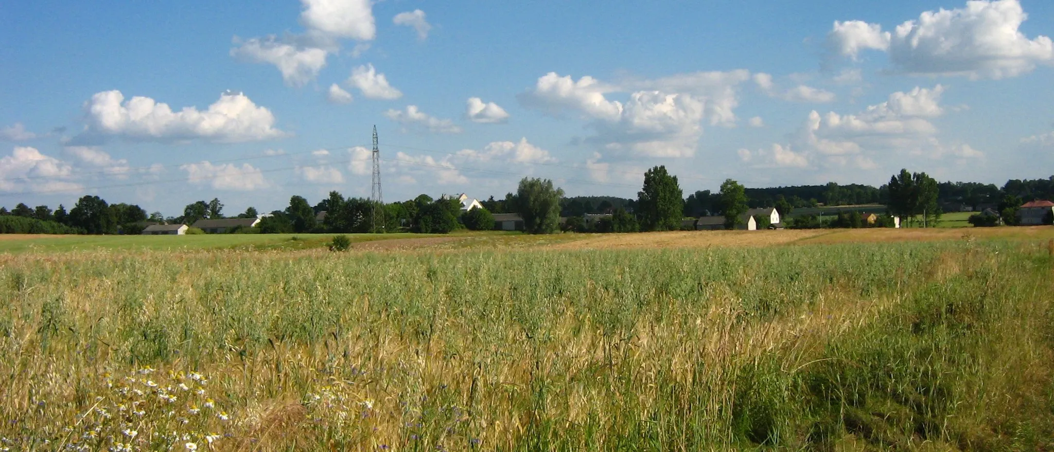 Photo showing: Sokół village, Poland