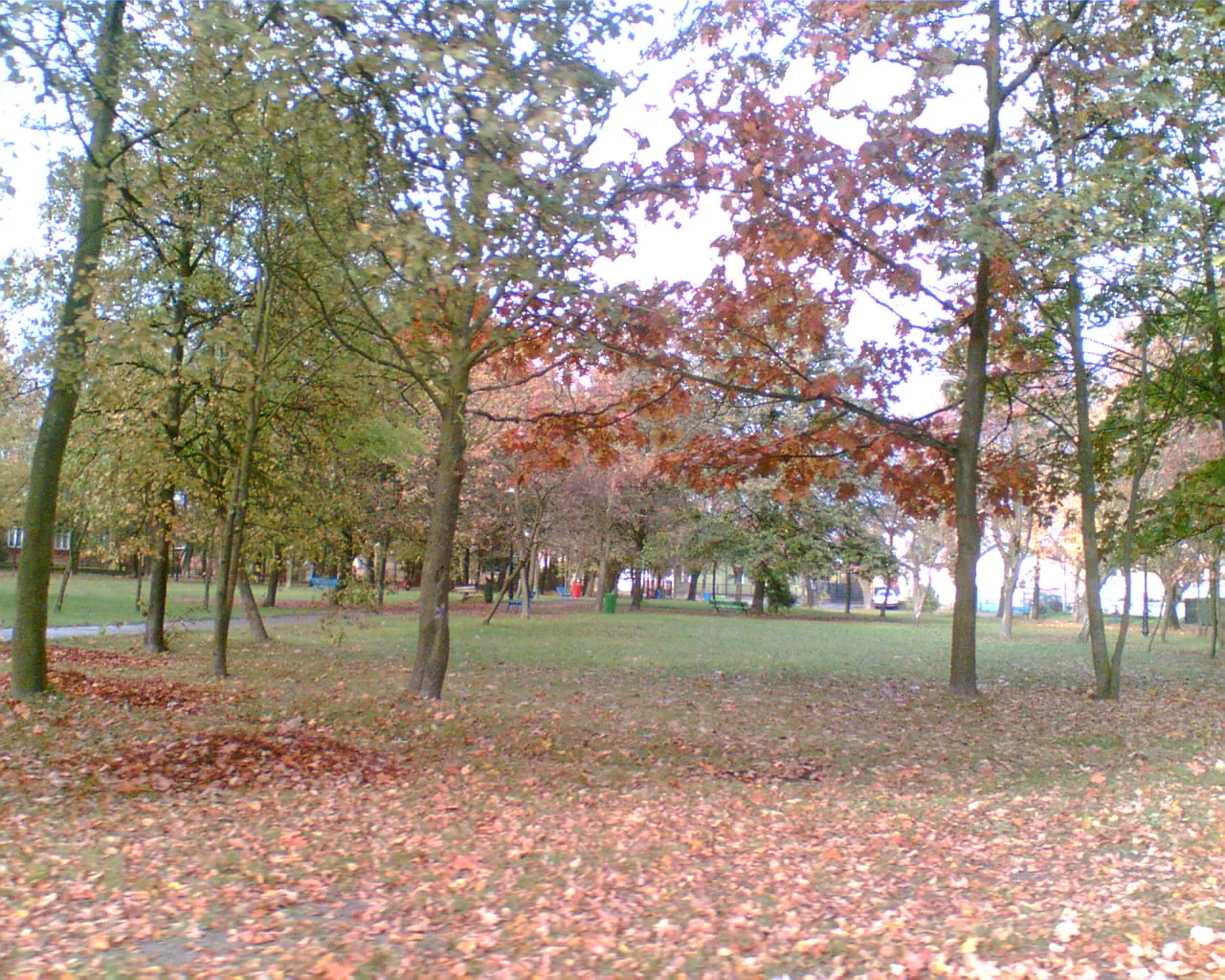 Photo showing: W centrum Miedznej mamy park