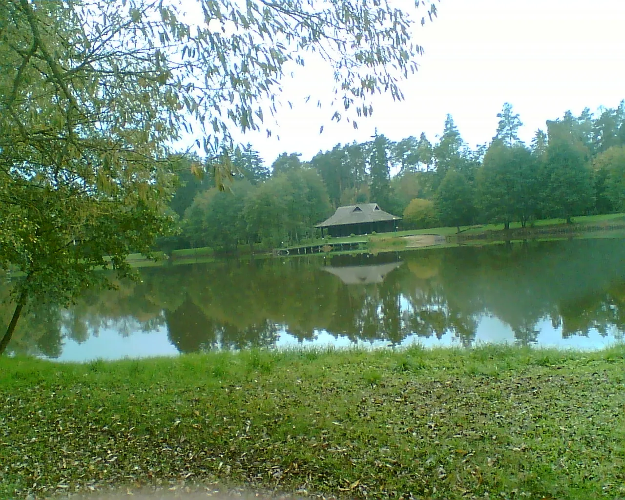 Photo showing: Jeden z parkowych stawów