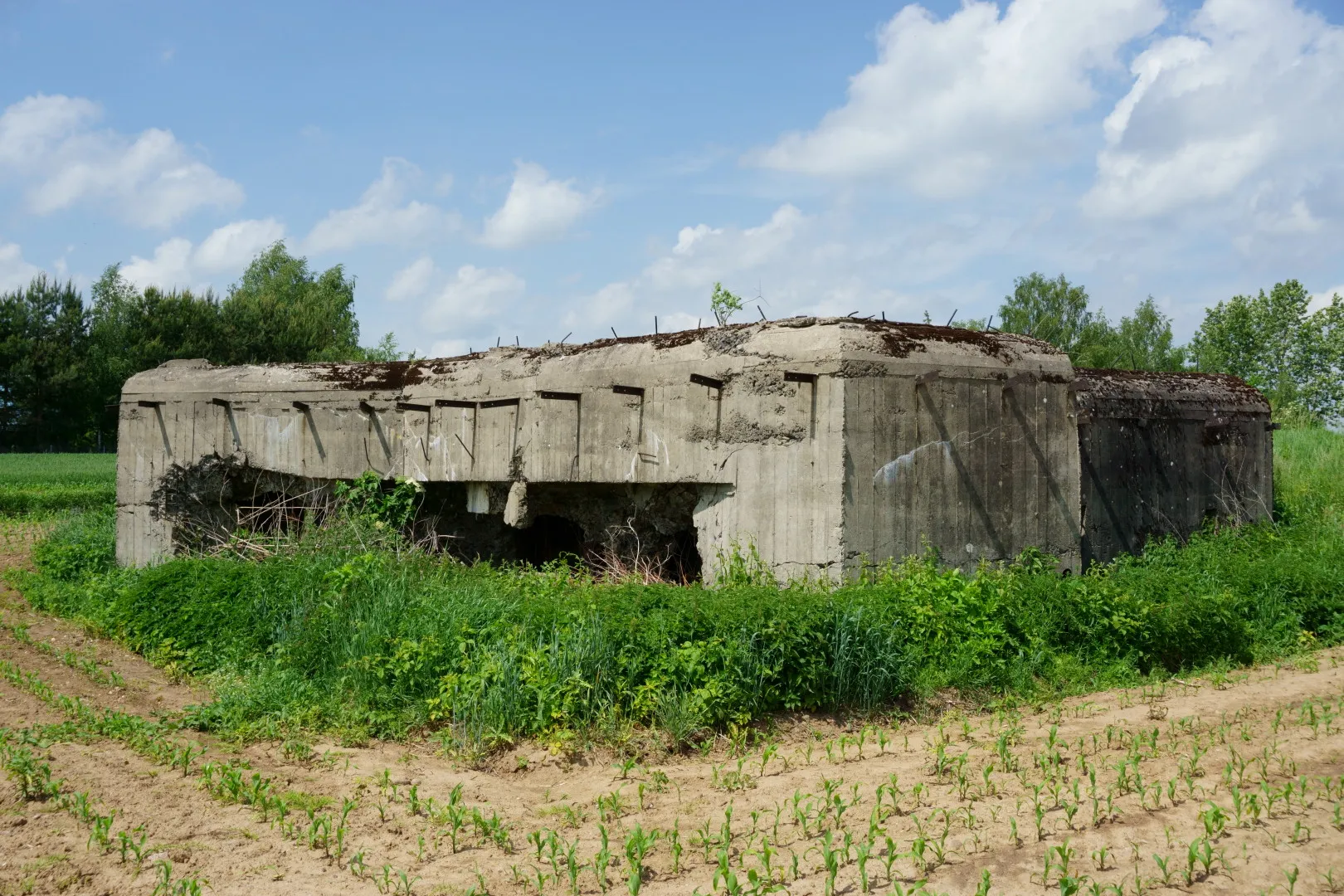 Photo showing: Półkaponiera dwupoziomowa dla armaty przeciwpancernej i trzech karabinów maszynowych w Wierzchucy Nagórnej. Element Linii Mołotowa. Lata budowy: 1940-1941.. Stan surowy.