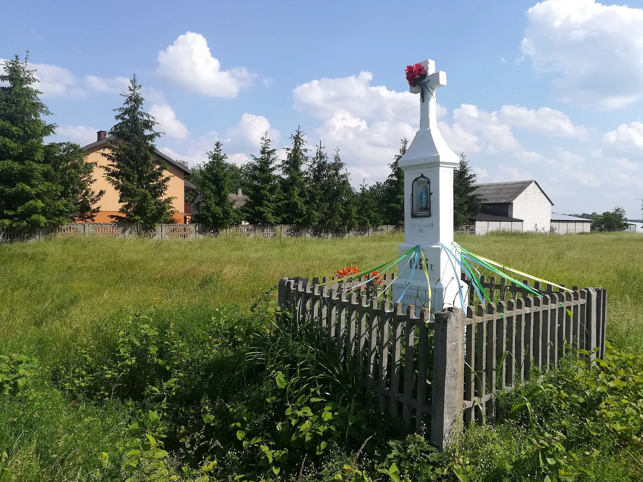 Photo showing: Wandzinów na Mazowszu - gm. Odrzywół.