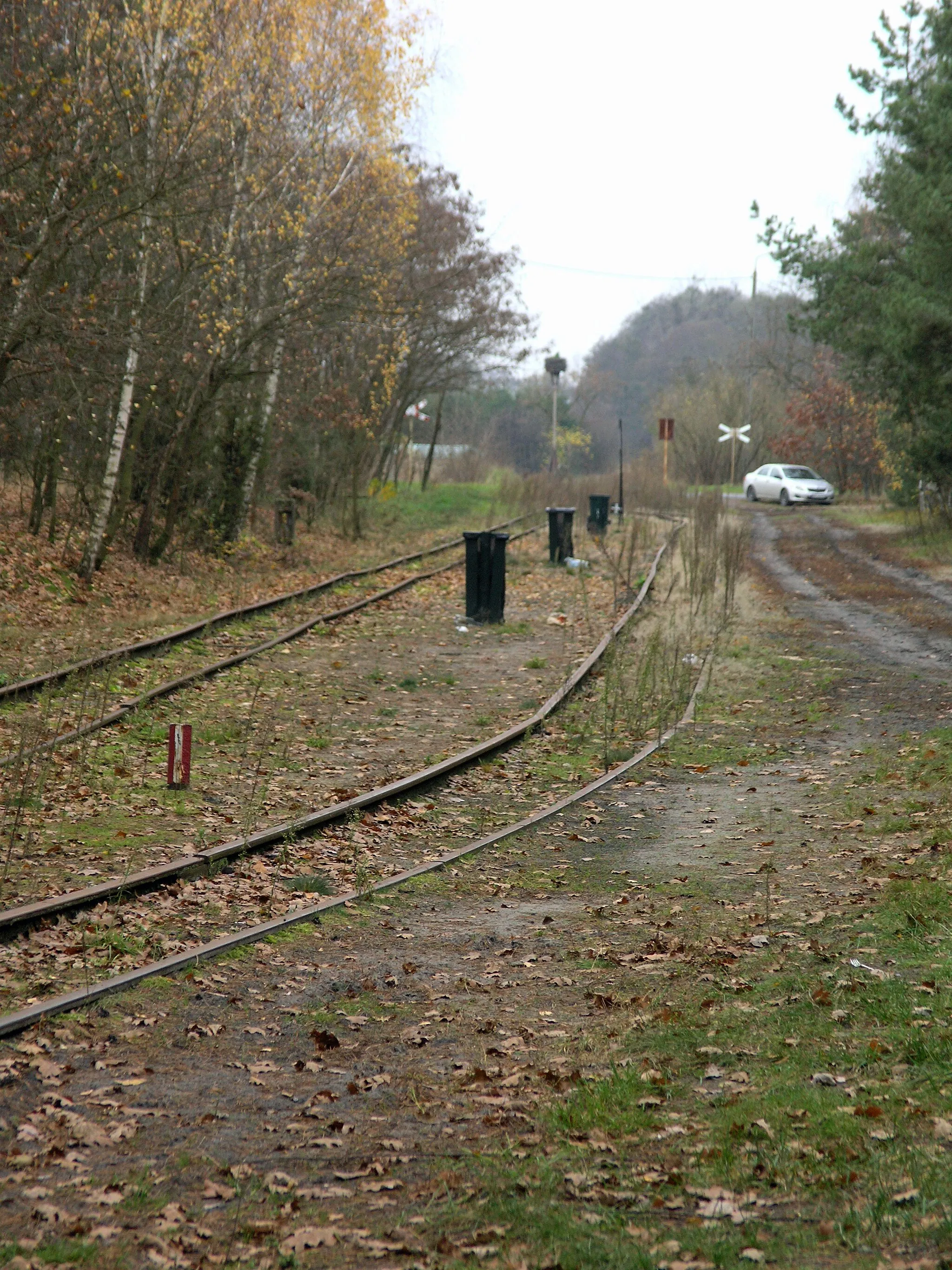 Photo showing: Wilcze Tułowskie train station (narrow gauge railway)