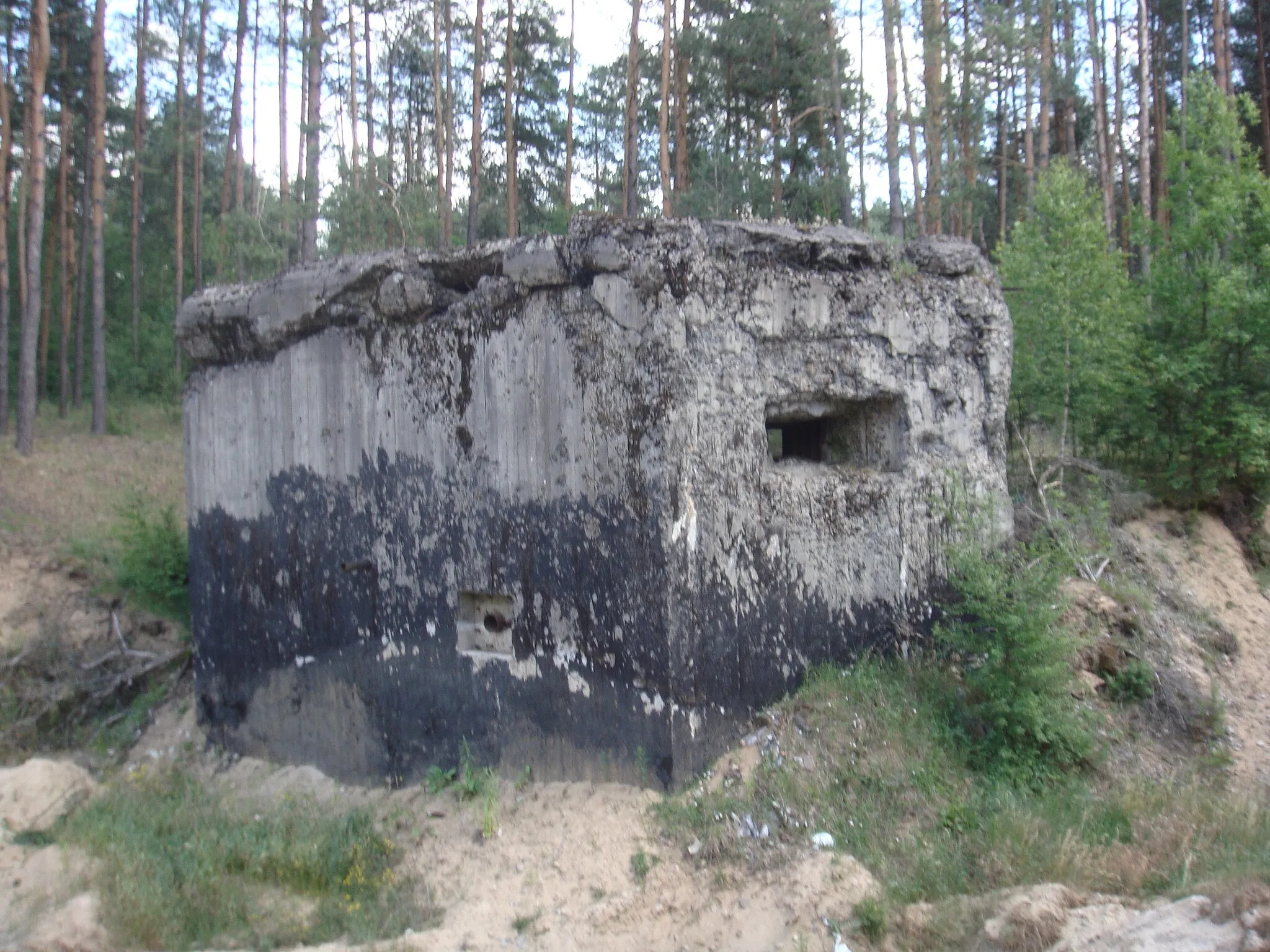 Photo showing: Trochę zieleni a zarazem historii.