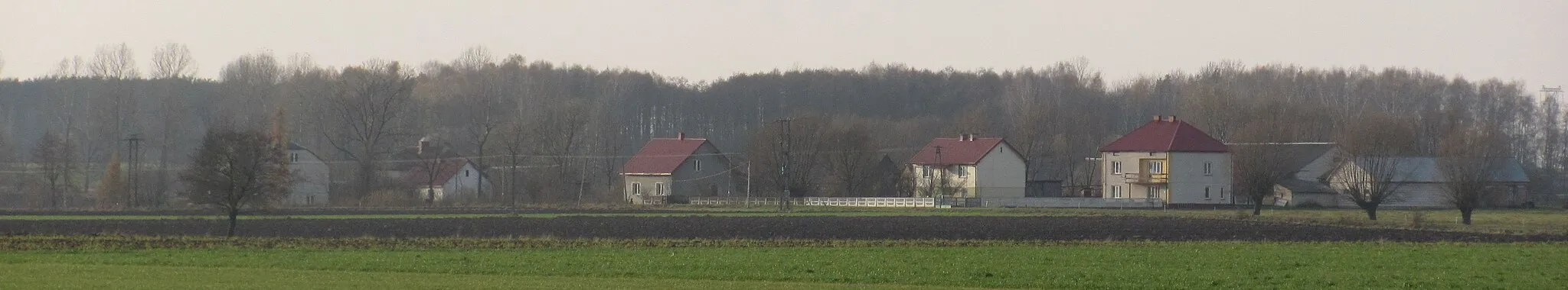 Photo showing: Panorama wsi Wiktorzyn (powiat wysokomazowiecki)