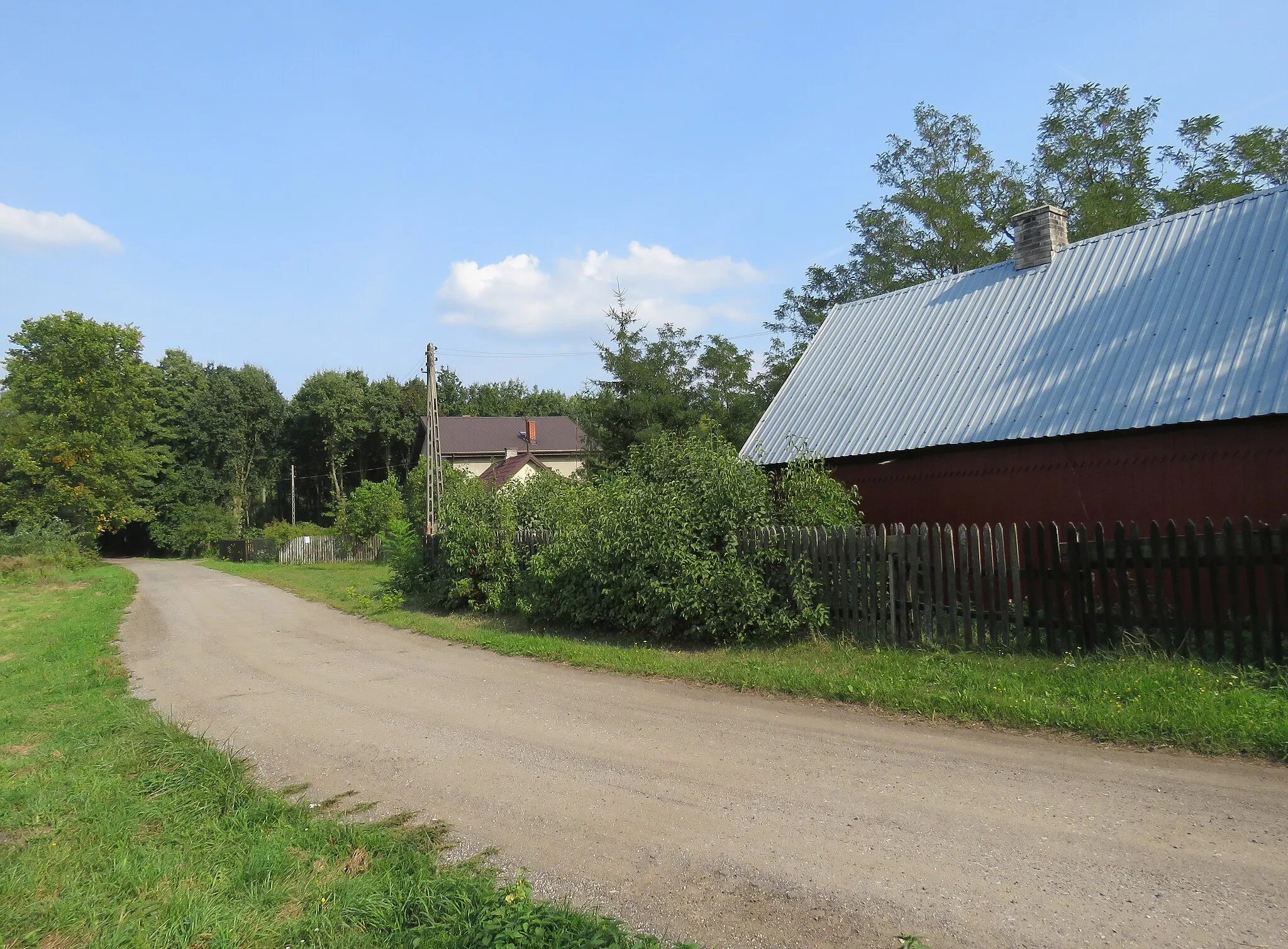 Photo showing: Koszówka gm. Kampinos