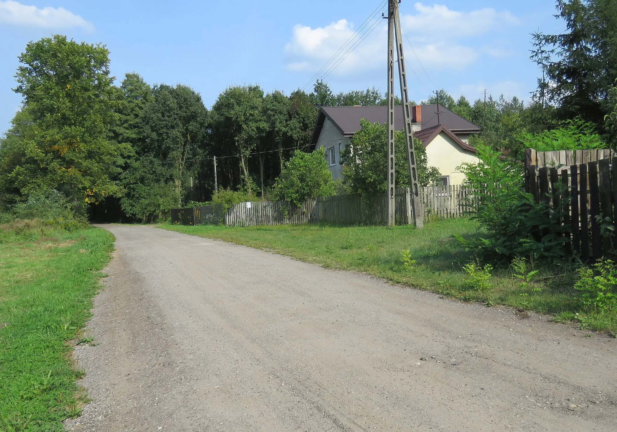 Photo showing: Koszówka gm. Kampinos