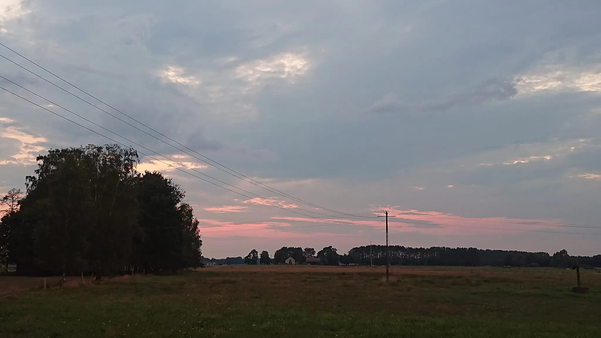 Photo showing: Landscape in Zdunek, Green Forest (Kurpie), Poland