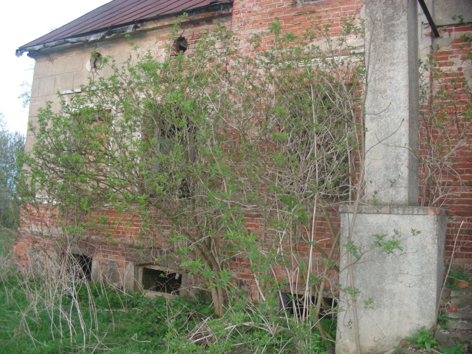 Photo showing: Wiksin - ruiny dworu i pozostałości parku dworskiego