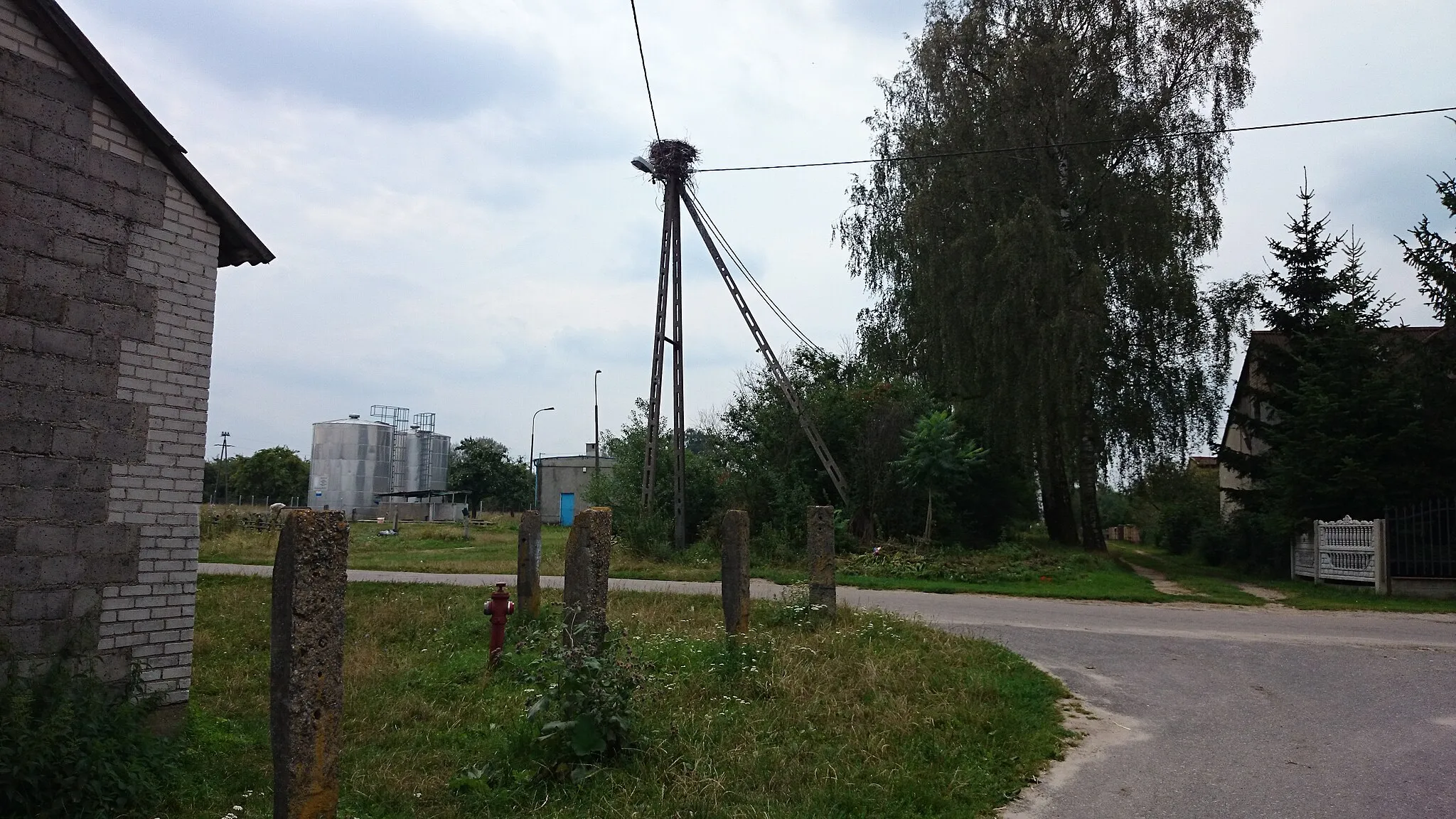 Photo showing: Stupsk - bocianie gniazdo